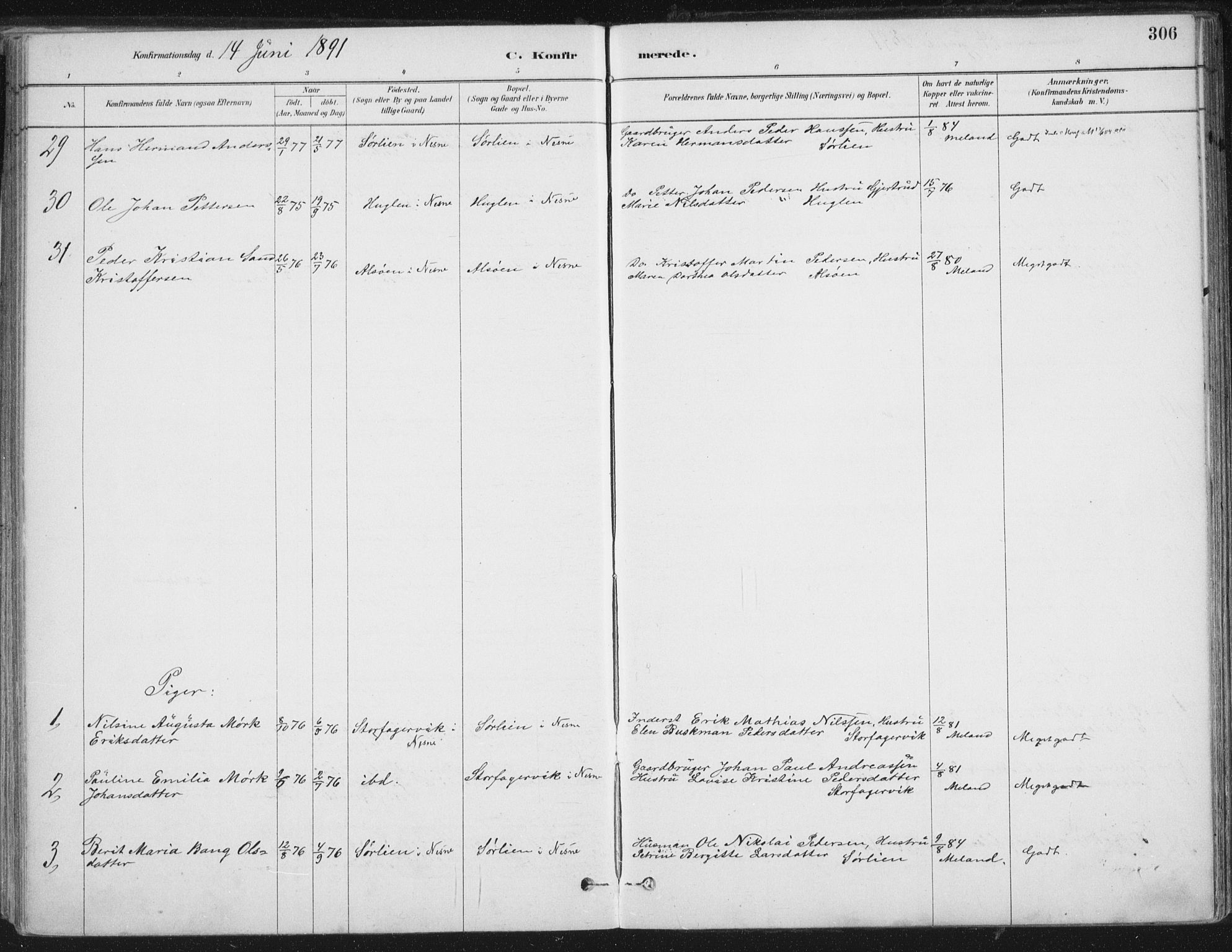 Ministerialprotokoller, klokkerbøker og fødselsregistre - Nordland, AV/SAT-A-1459/838/L0552: Parish register (official) no. 838A10, 1880-1910, p. 306