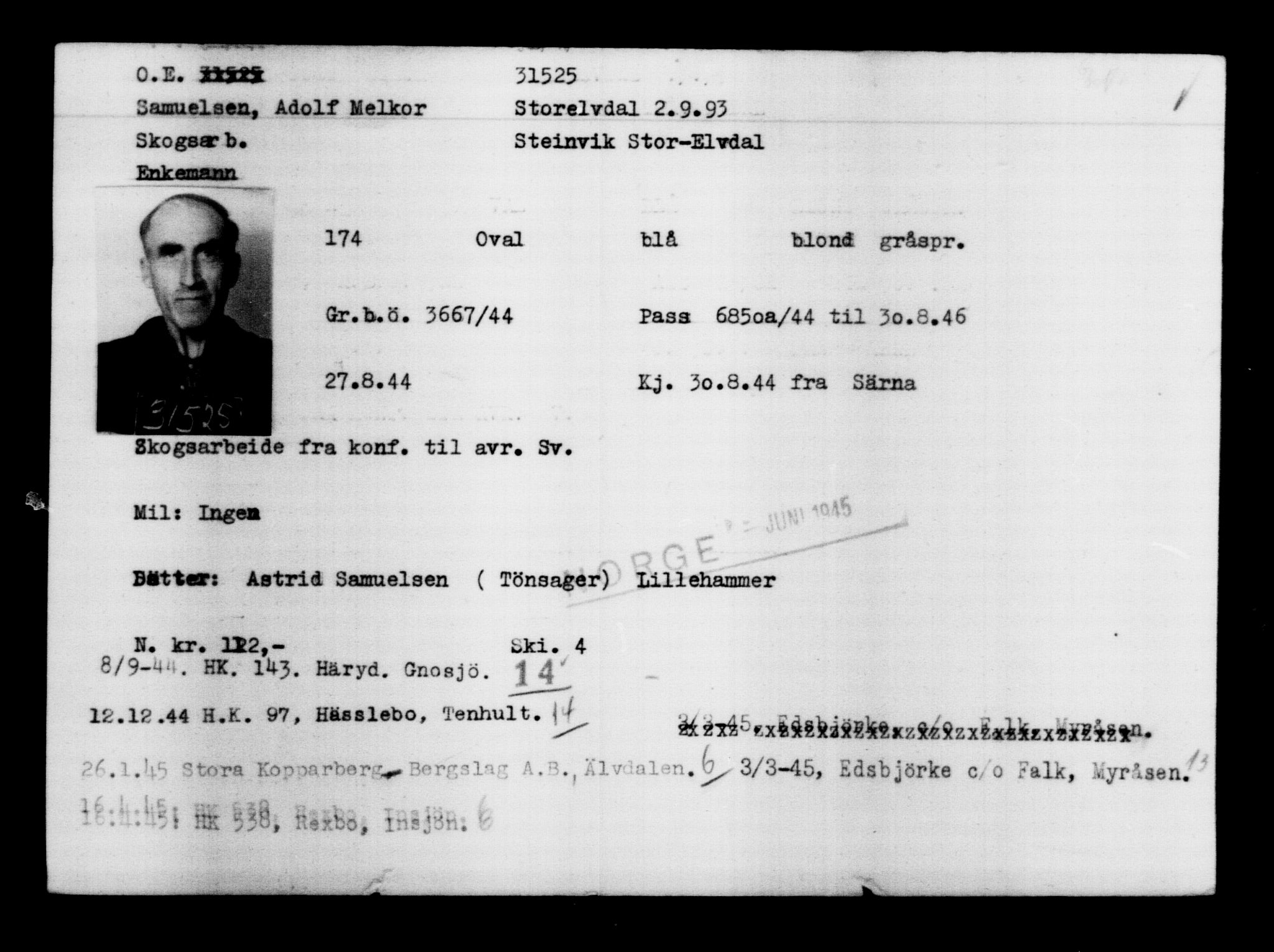 Utenriksstasjonene, Legasjonen i Stockholm, Flyktningkontoret, AV/RA-S-6753/V/Va/L0012: Kjesäterkartoteket, flyktninger med registreringsnr. 28300-31566, 1940-1945, p. 3493