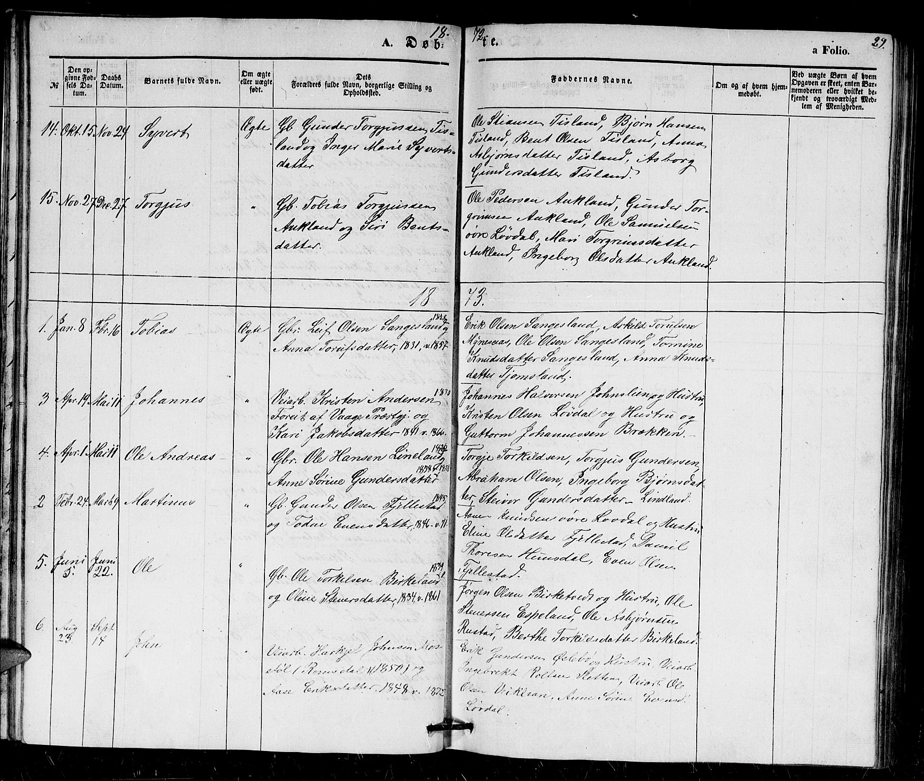Holum sokneprestkontor, SAK/1111-0022/F/Fb/Fbb/L0002: Parish register (copy) no. B 2, 1847-1874, p. 29