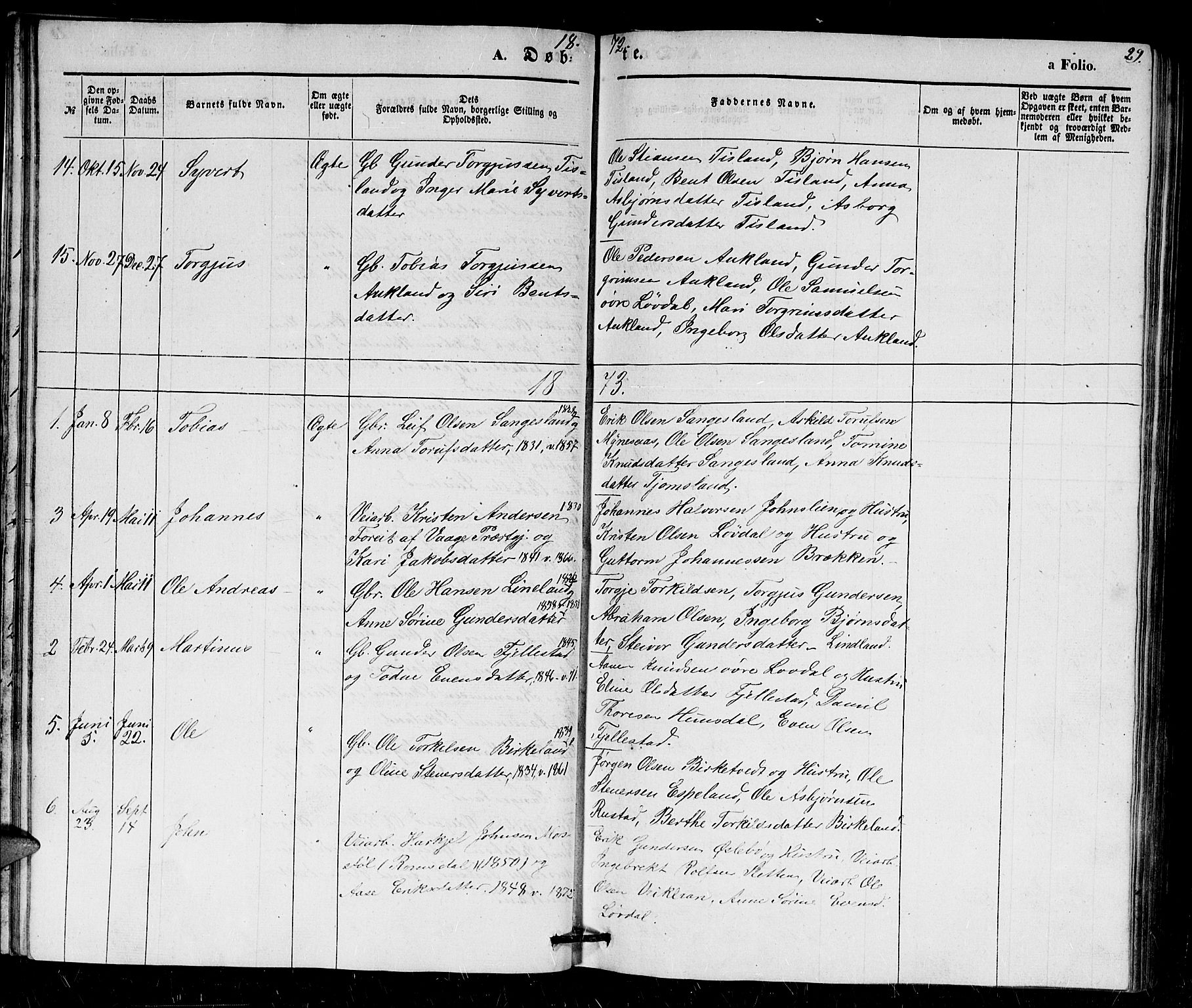 Holum sokneprestkontor, AV/SAK-1111-0022/F/Fb/Fbb/L0002: Parish register (copy) no. B 2, 1847-1874, p. 29