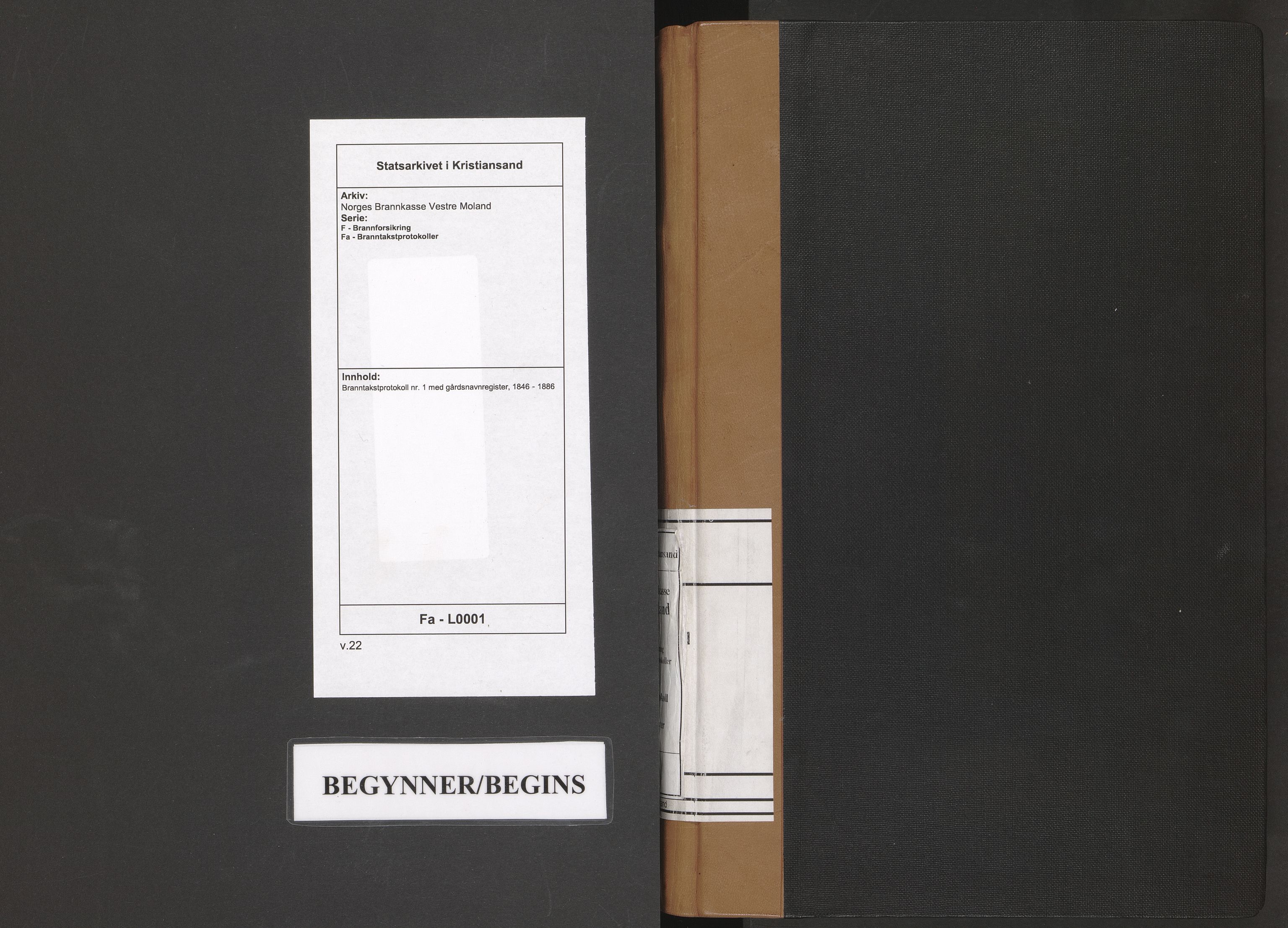 Norges Brannkasse Vestre Moland, AV/SAK-2241-0056/F/Fa/L0001: Branntakstprotokoll nr. 1 med gårdsnavnregister, 1846-1886