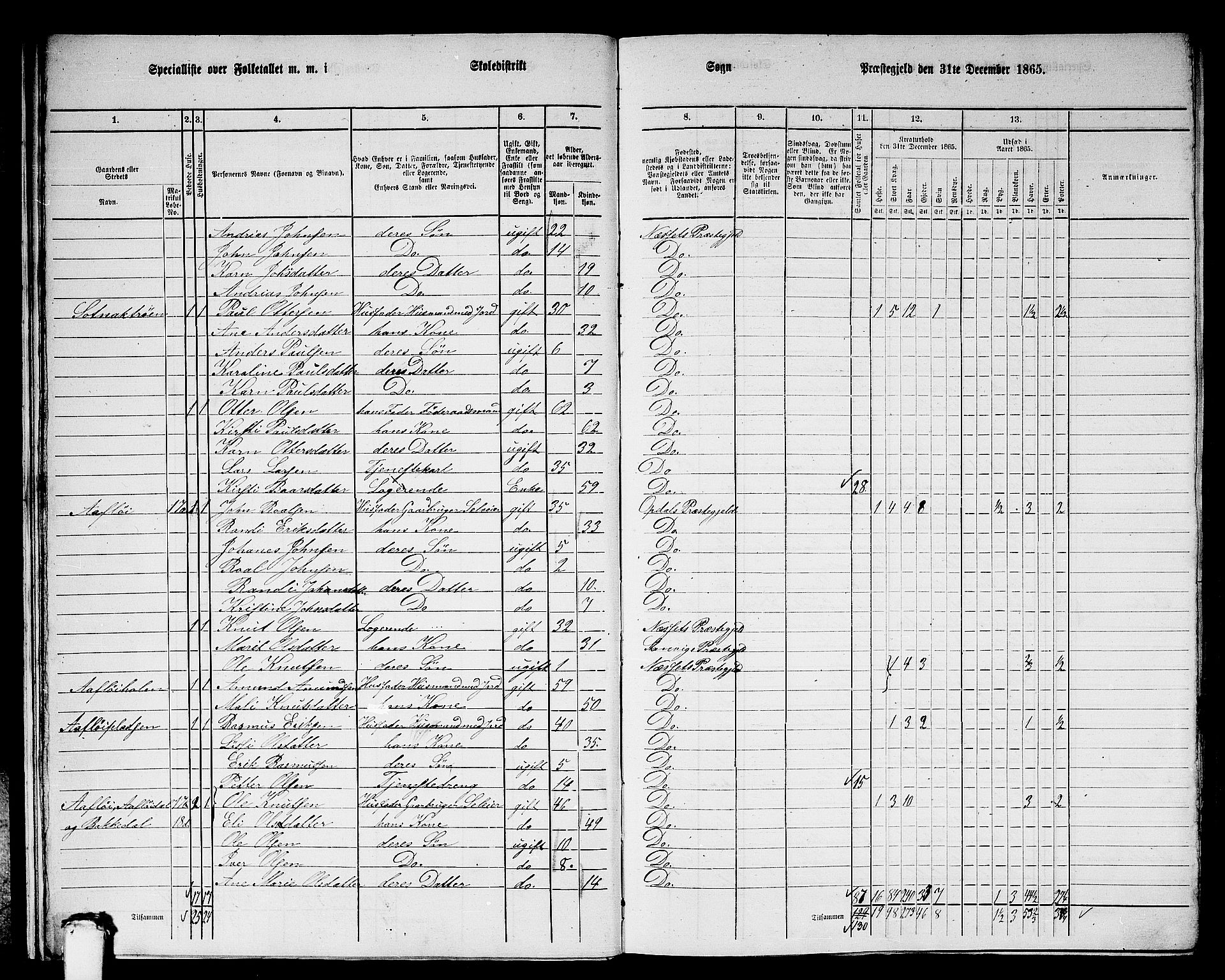 RA, 1865 census for Nesset, 1865, p. 15