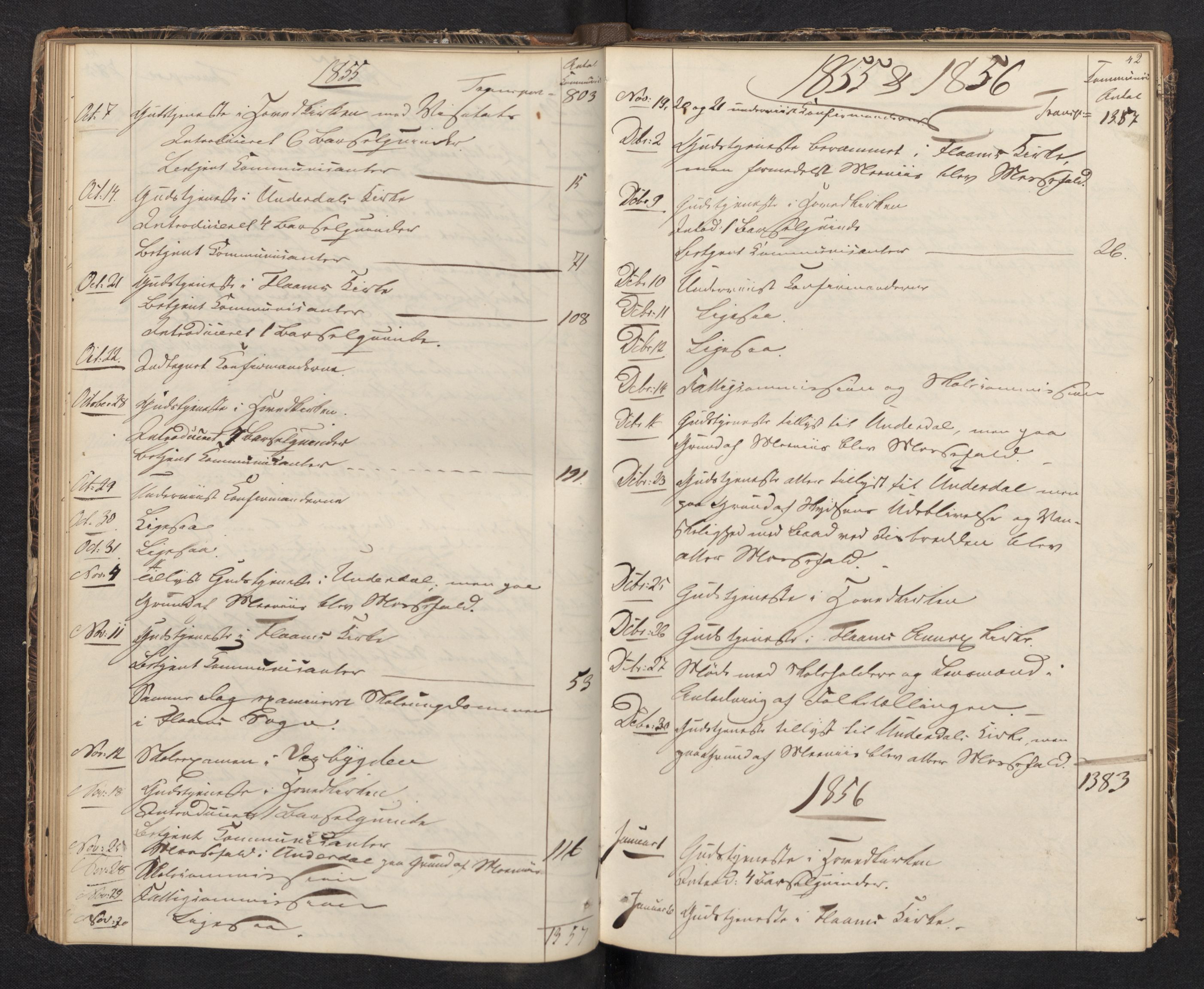 Aurland sokneprestembete, AV/SAB-A-99937/H/Ha/Haf: Diary records no. F 0, 1844-1876, p. 41b-42a