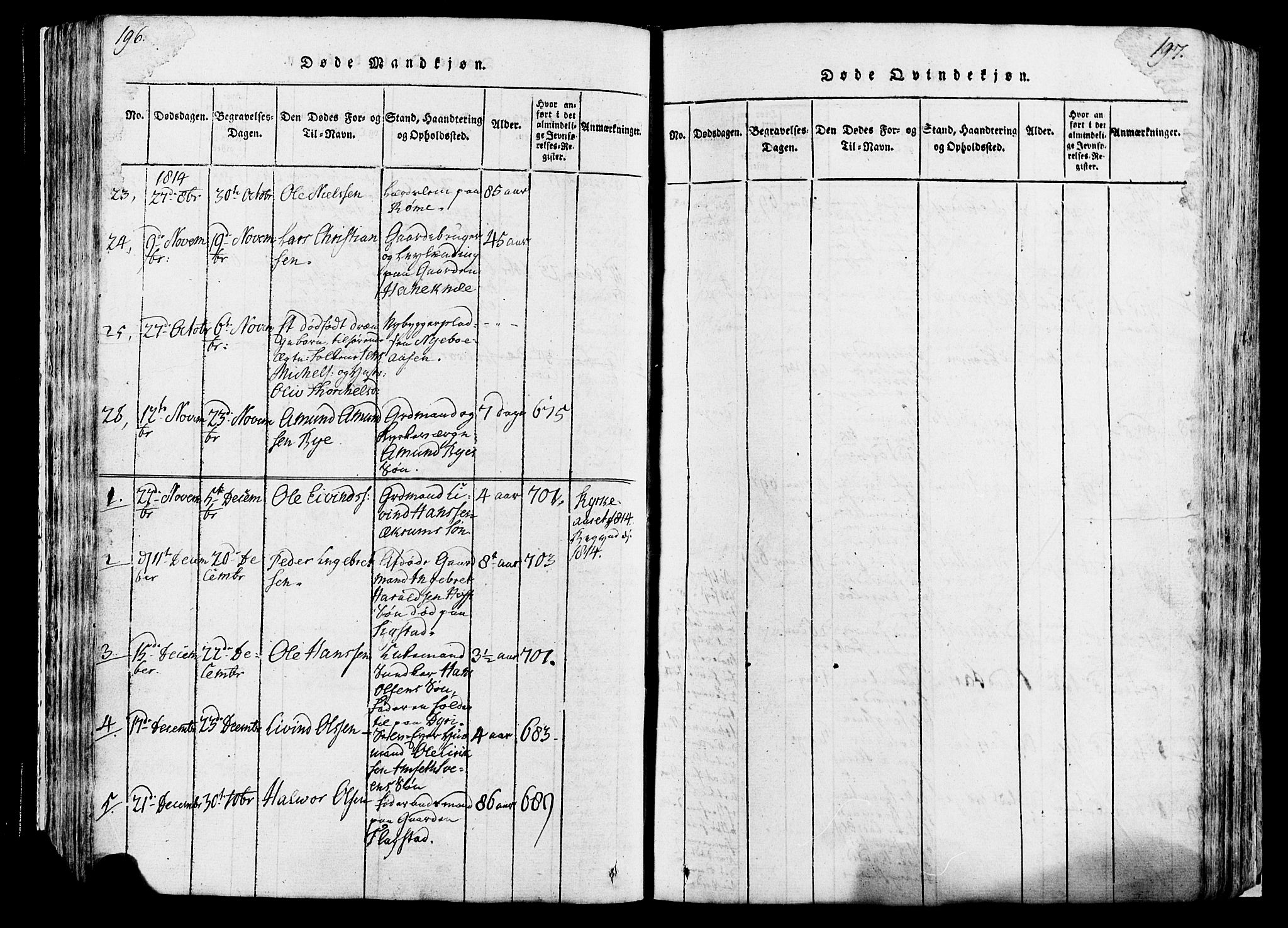 Løten prestekontor, SAH/PREST-022/K/Ka/L0005: Parish register (official) no. 5, 1814-1832, p. 196-197