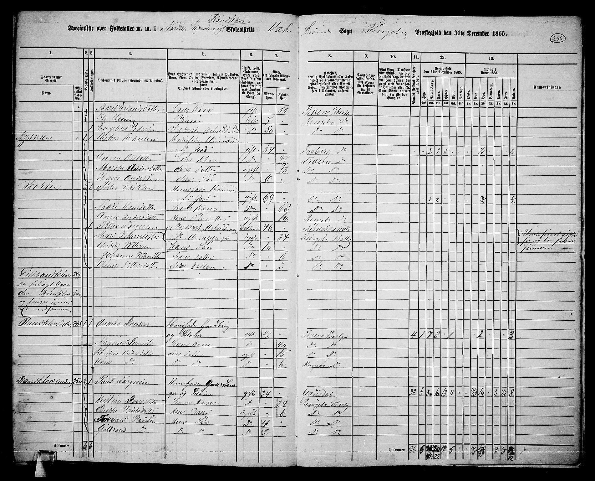 RA, 1865 census for Ringebu, 1865, p. 207