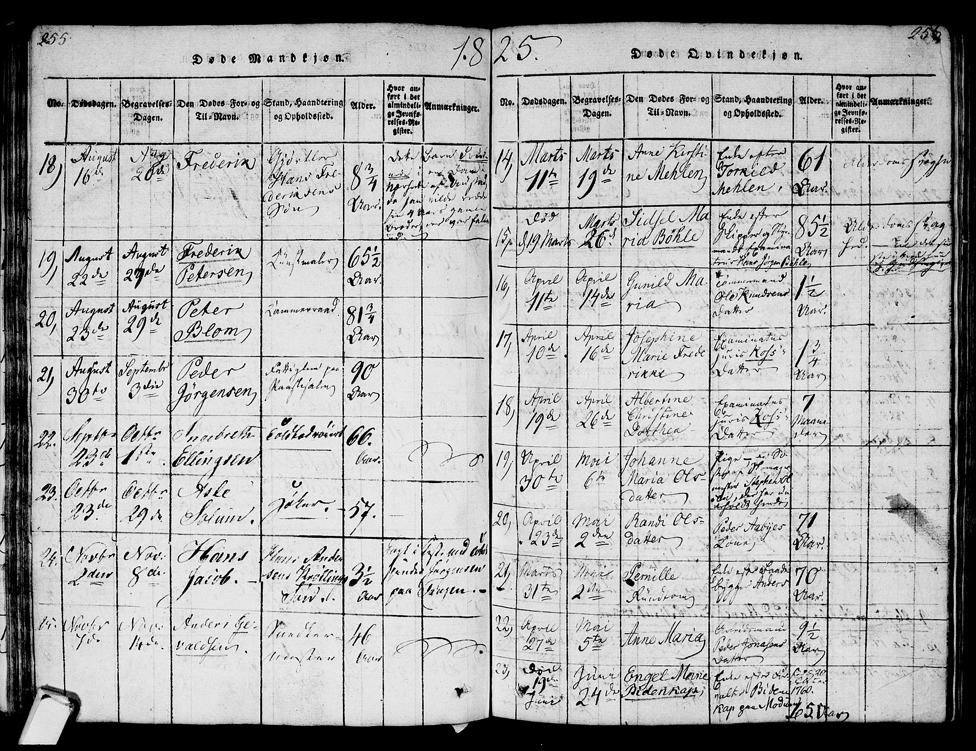 Strømsø kirkebøker, AV/SAKO-A-246/F/Fa/L0011: Parish register (official) no. I 11, 1815-1829, p. 255-256