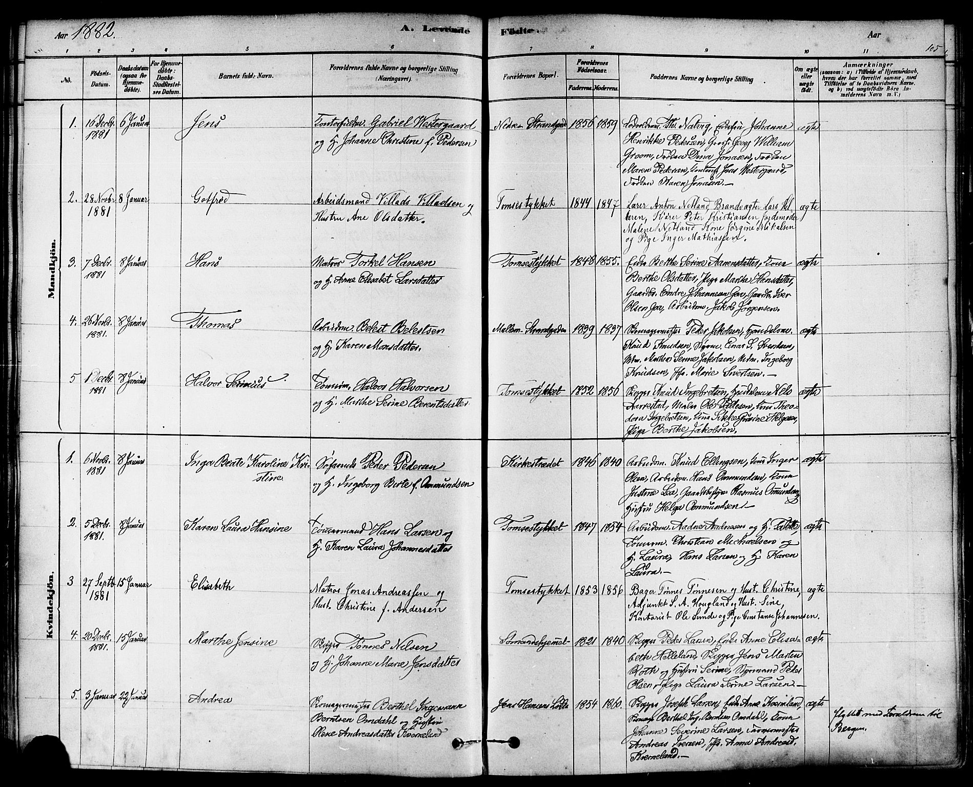 Domkirken sokneprestkontor, SAST/A-101812/001/30/30BA/L0026: Parish register (official) no. A 25, 1878-1889, p. 105