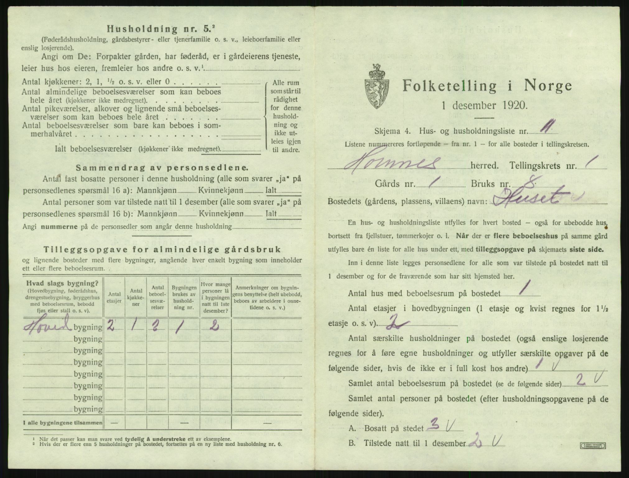 SAK, 1920 census for Hornnes, 1920, p. 77