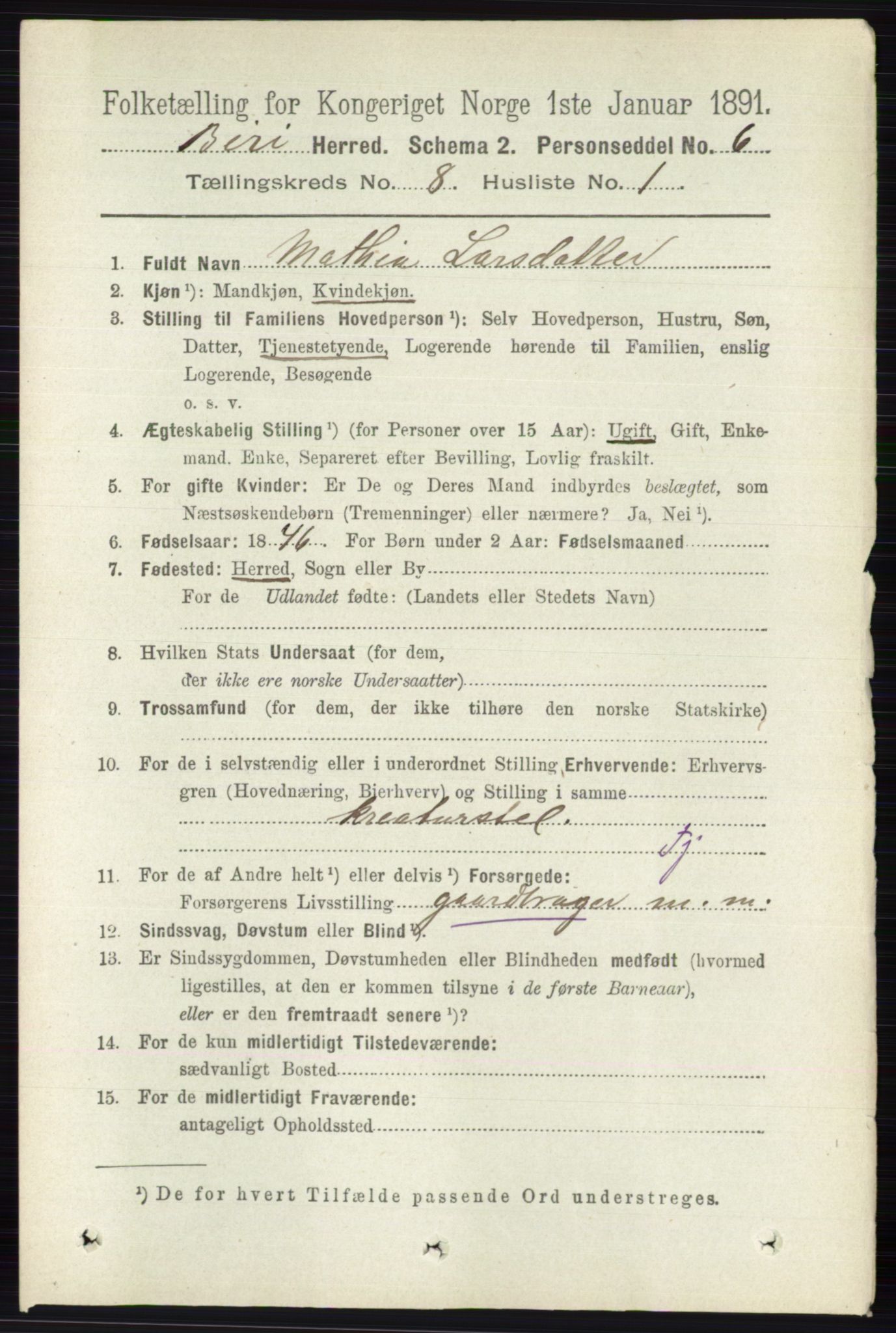 RA, 1891 census for 0525 Biri, 1891, p. 2916