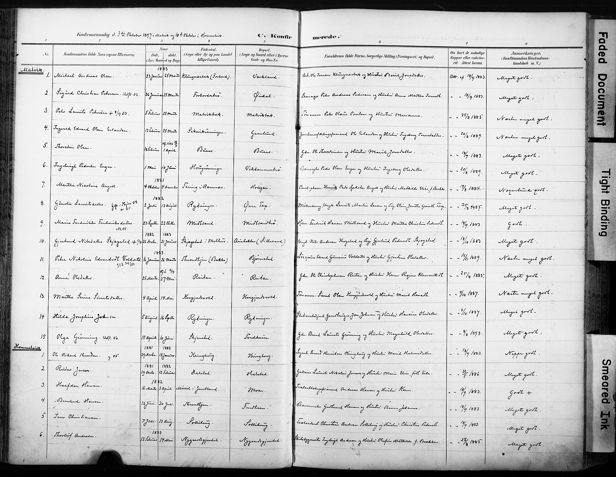 Ministerialprotokoller, klokkerbøker og fødselsregistre - Sør-Trøndelag, AV/SAT-A-1456/616/L0411: Parish register (official) no. 616A08, 1894-1906