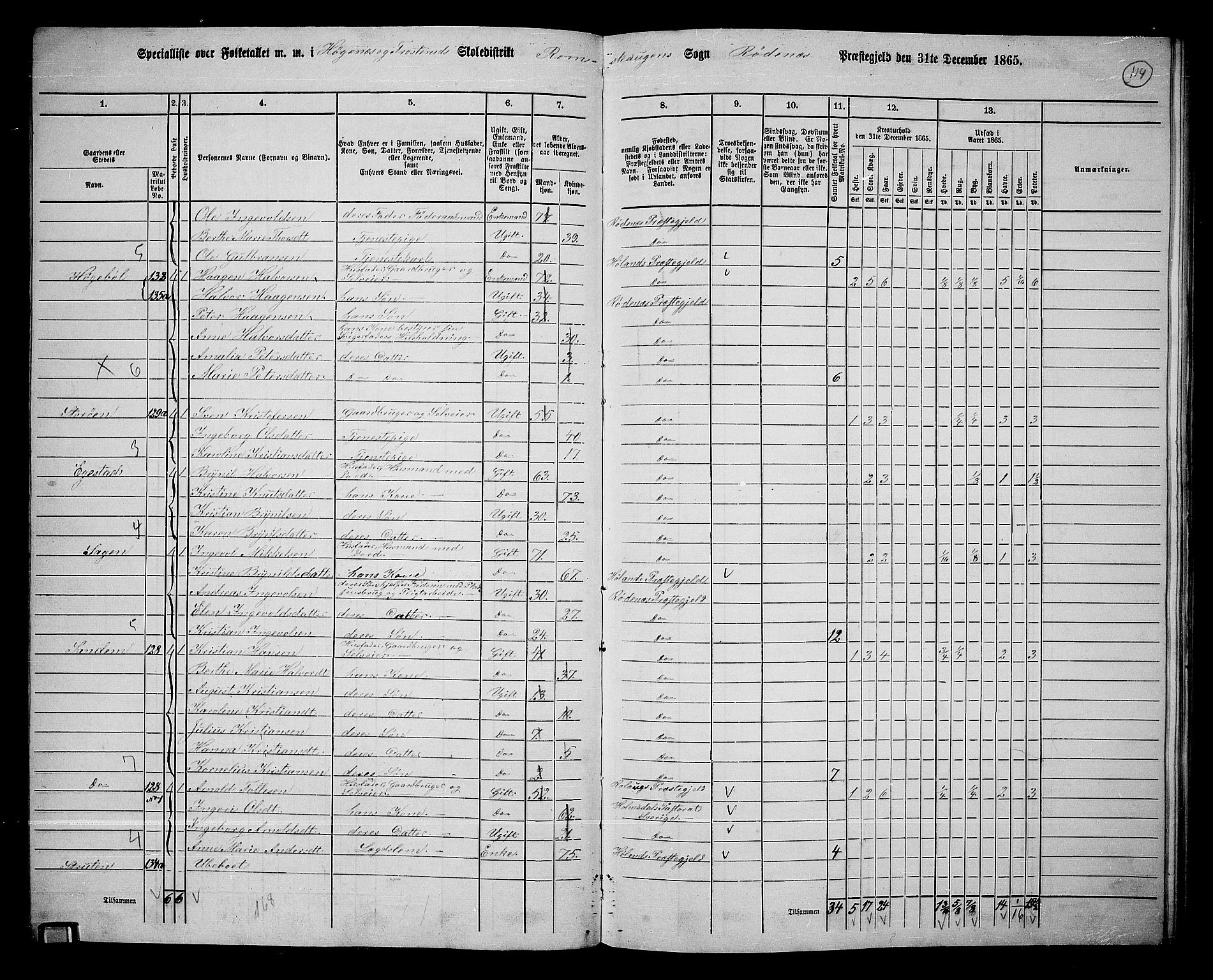 RA, 1865 census for Rødenes, 1865, p. 99