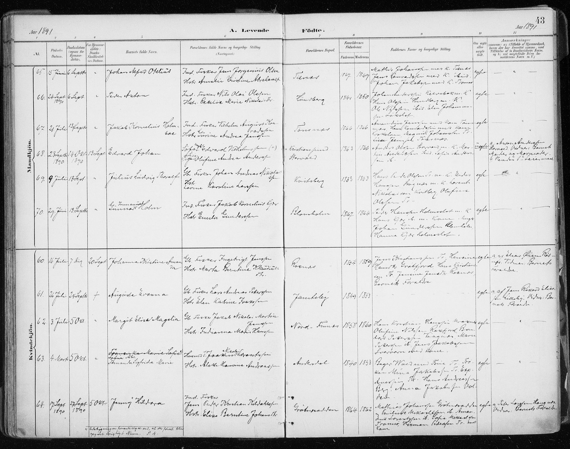 Tromsøysund sokneprestkontor, AV/SATØ-S-1304/G/Ga/L0005kirke: Parish register (official) no. 5, 1888-1896, p. 43