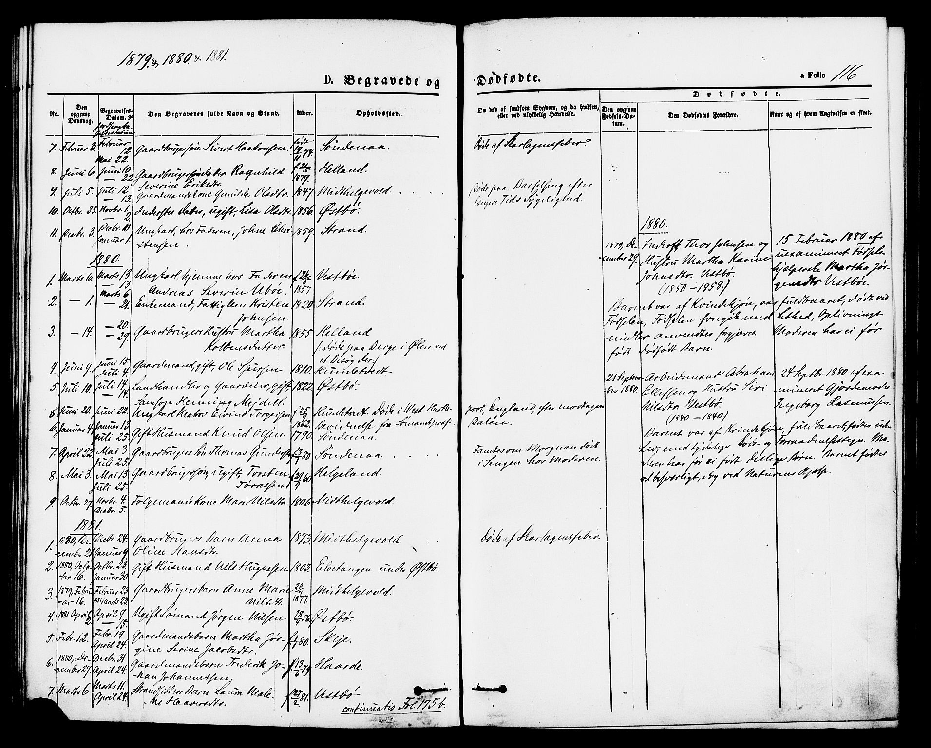 Vikedal sokneprestkontor, AV/SAST-A-101840/01/IV: Parish register (official) no. A 8, 1868-1885, p. 116