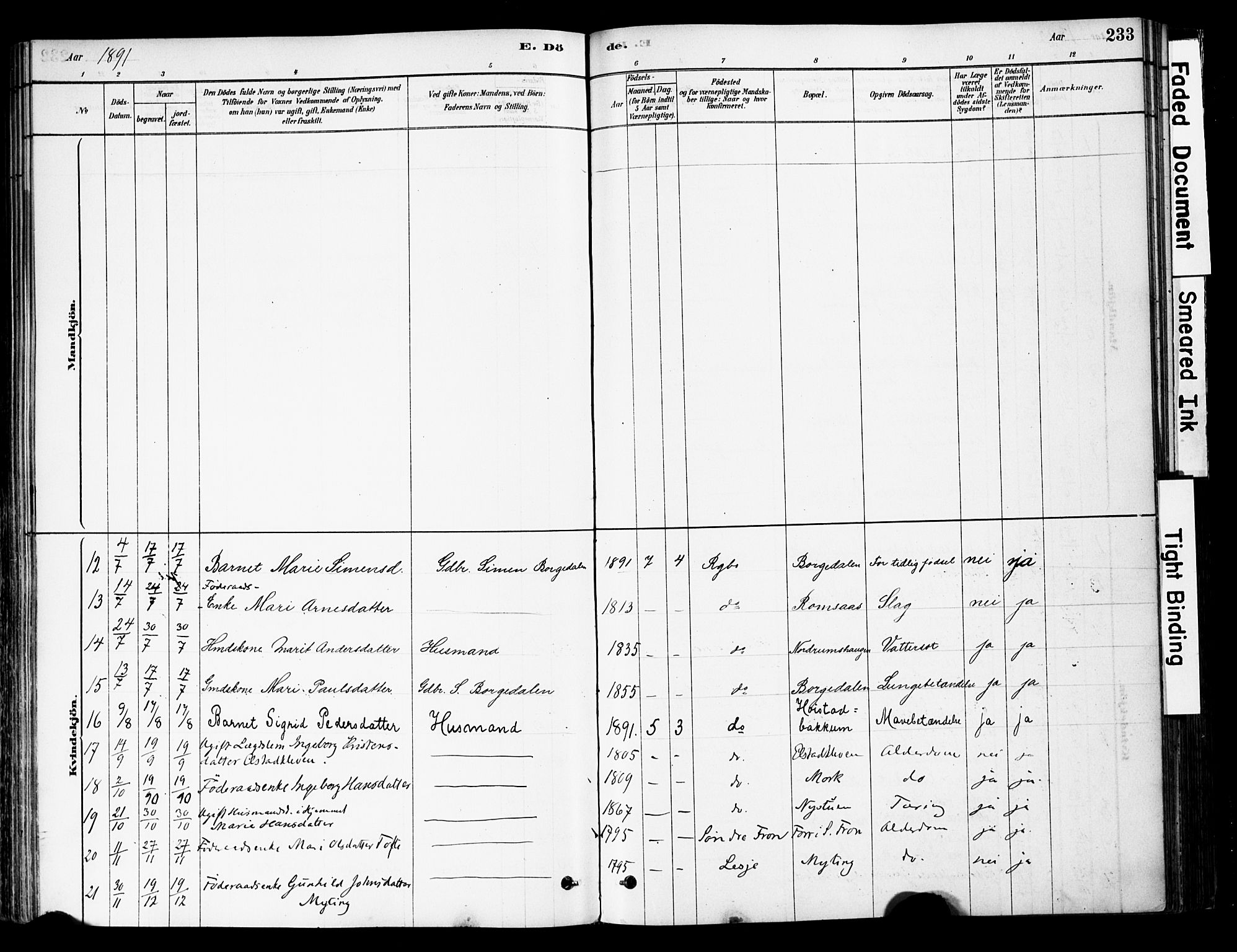 Ringebu prestekontor, AV/SAH-PREST-082/H/Ha/Haa/L0008: Parish register (official) no. 8, 1878-1898, p. 233