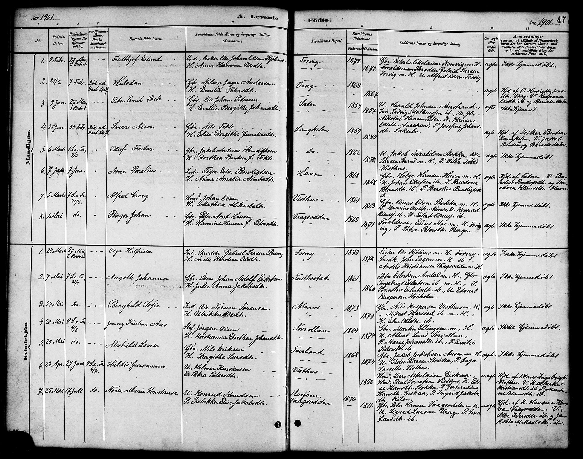 Ministerialprotokoller, klokkerbøker og fødselsregistre - Nordland, AV/SAT-A-1459/819/L0277: Parish register (copy) no. 819C03, 1888-1917, p. 47