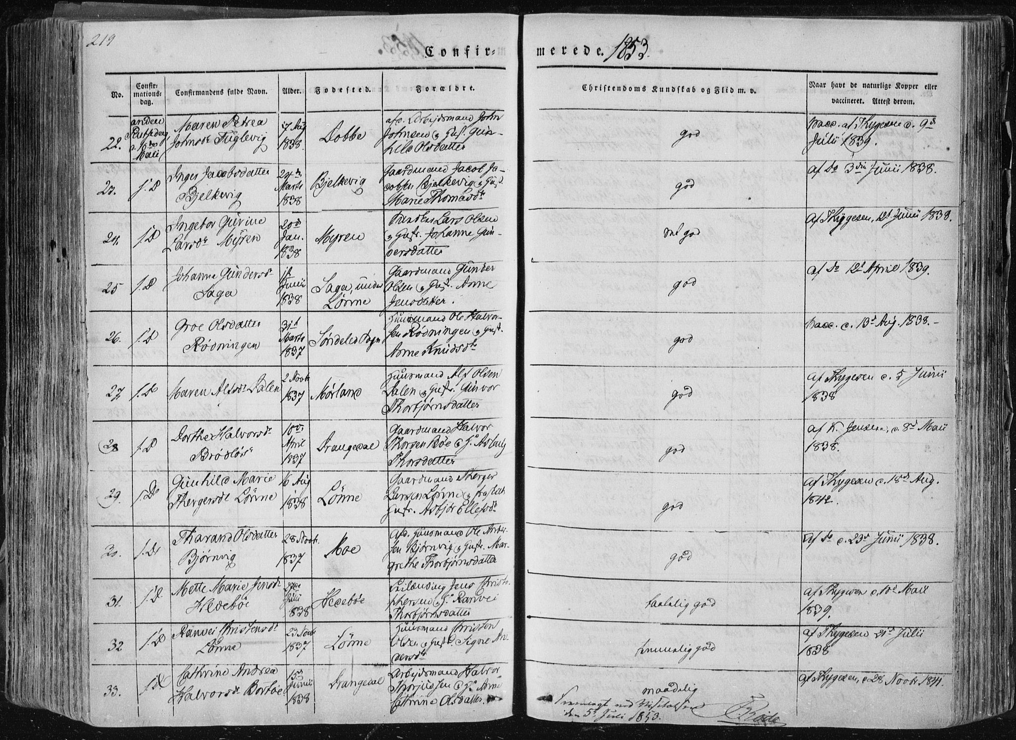 Sannidal kirkebøker, AV/SAKO-A-296/F/Fa/L0007: Parish register (official) no. 7, 1831-1854, p. 219