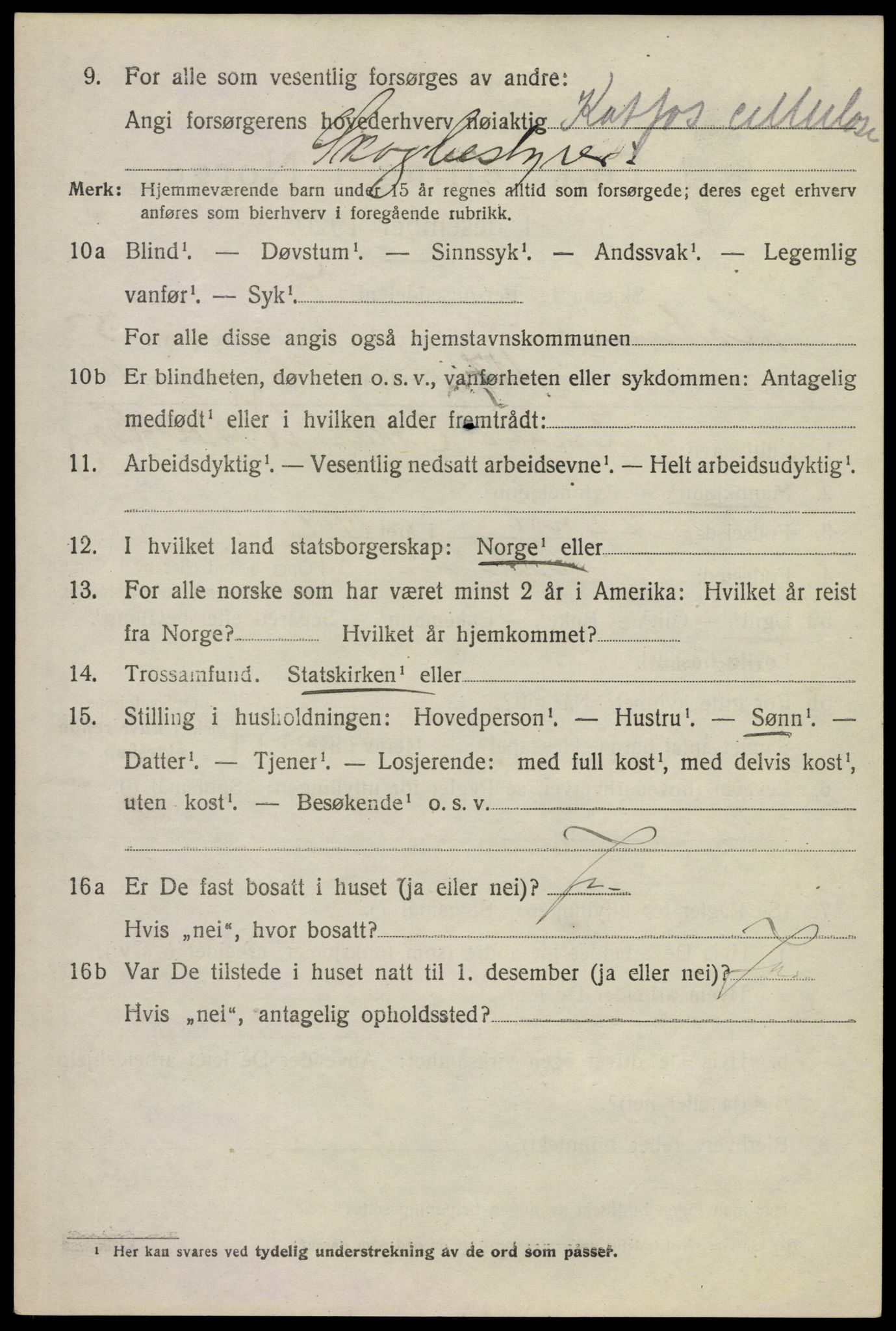 SAKO, 1920 census for Modum, 1920, p. 19410