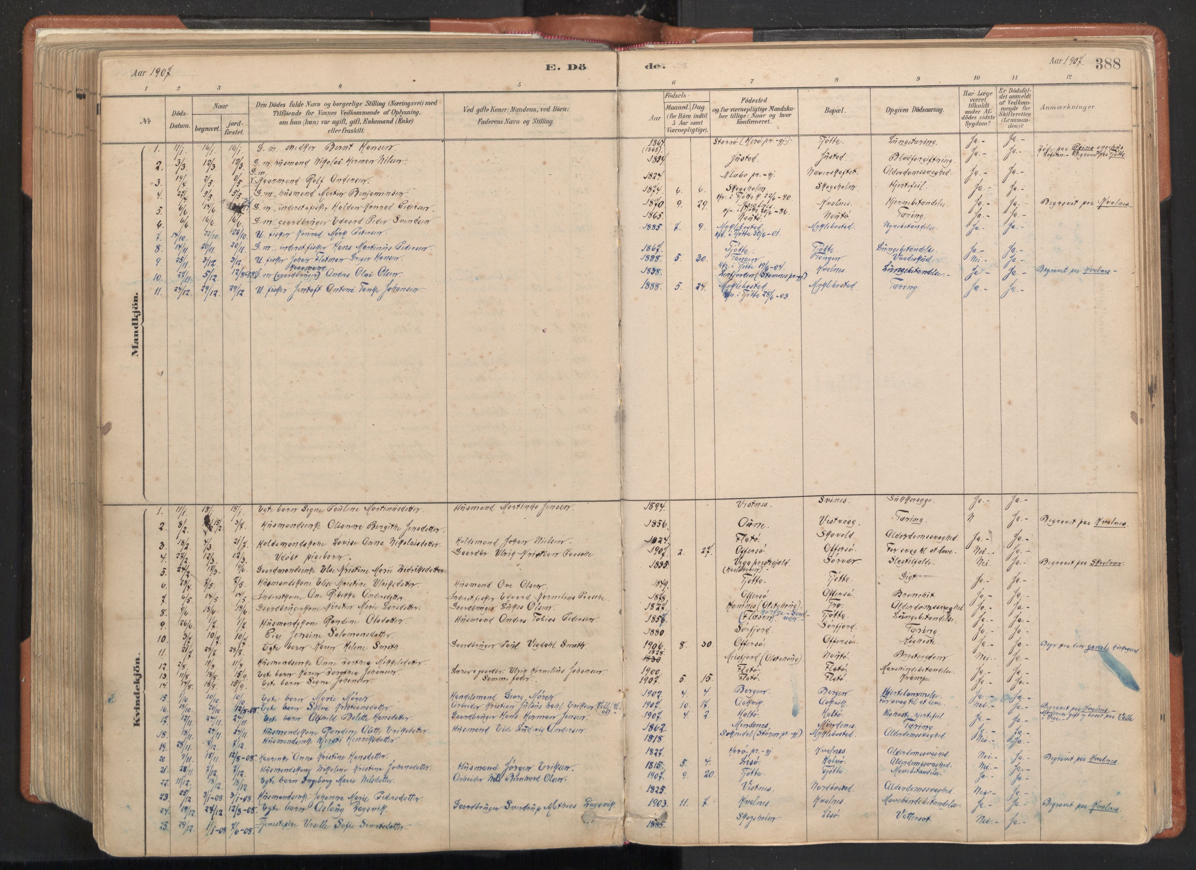 Ministerialprotokoller, klokkerbøker og fødselsregistre - Nordland, SAT/A-1459/817/L0264: Parish register (official) no. 817A04, 1878-1907, p. 388