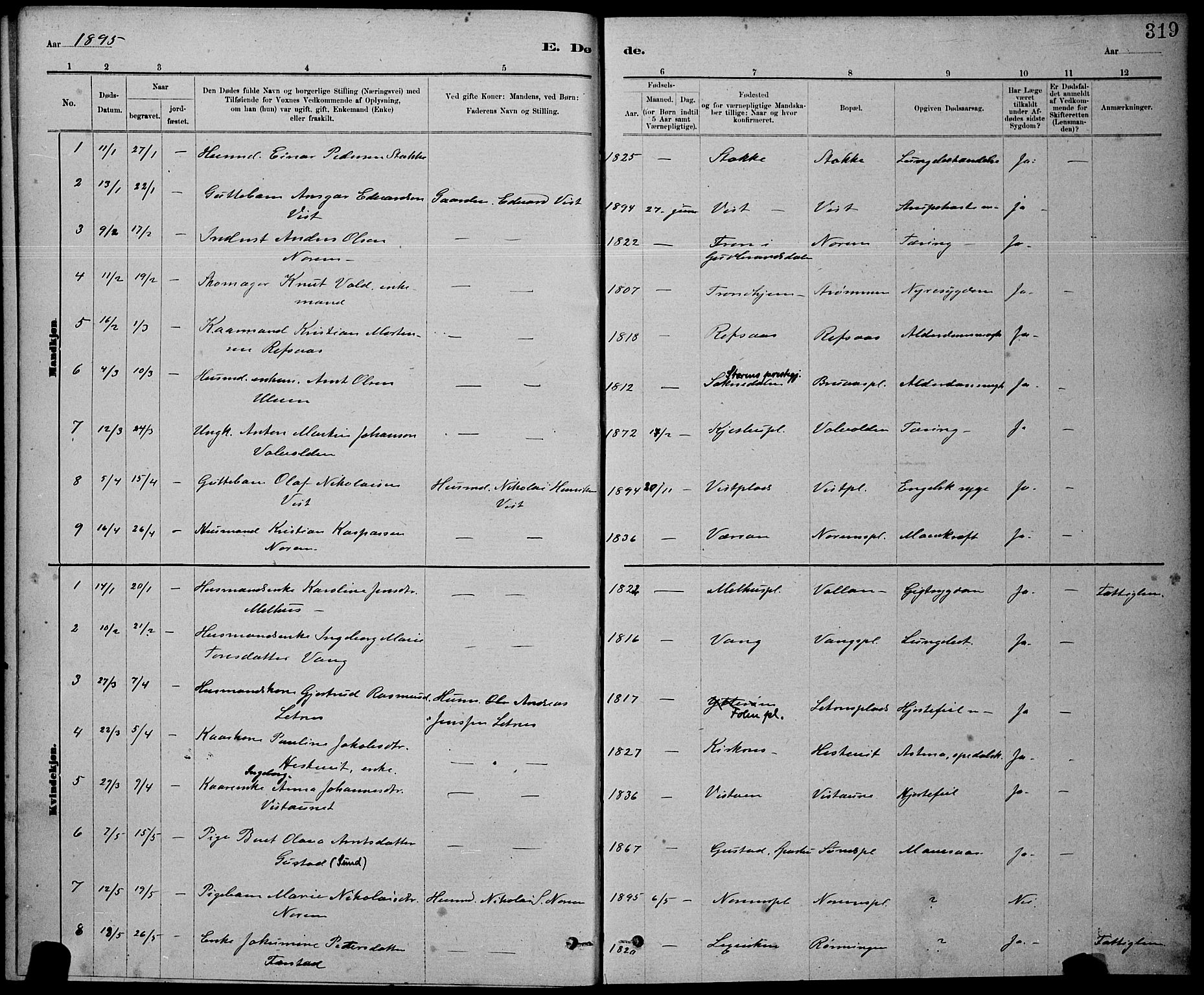Ministerialprotokoller, klokkerbøker og fødselsregistre - Nord-Trøndelag, SAT/A-1458/730/L0301: Parish register (copy) no. 730C04, 1880-1897, p. 319