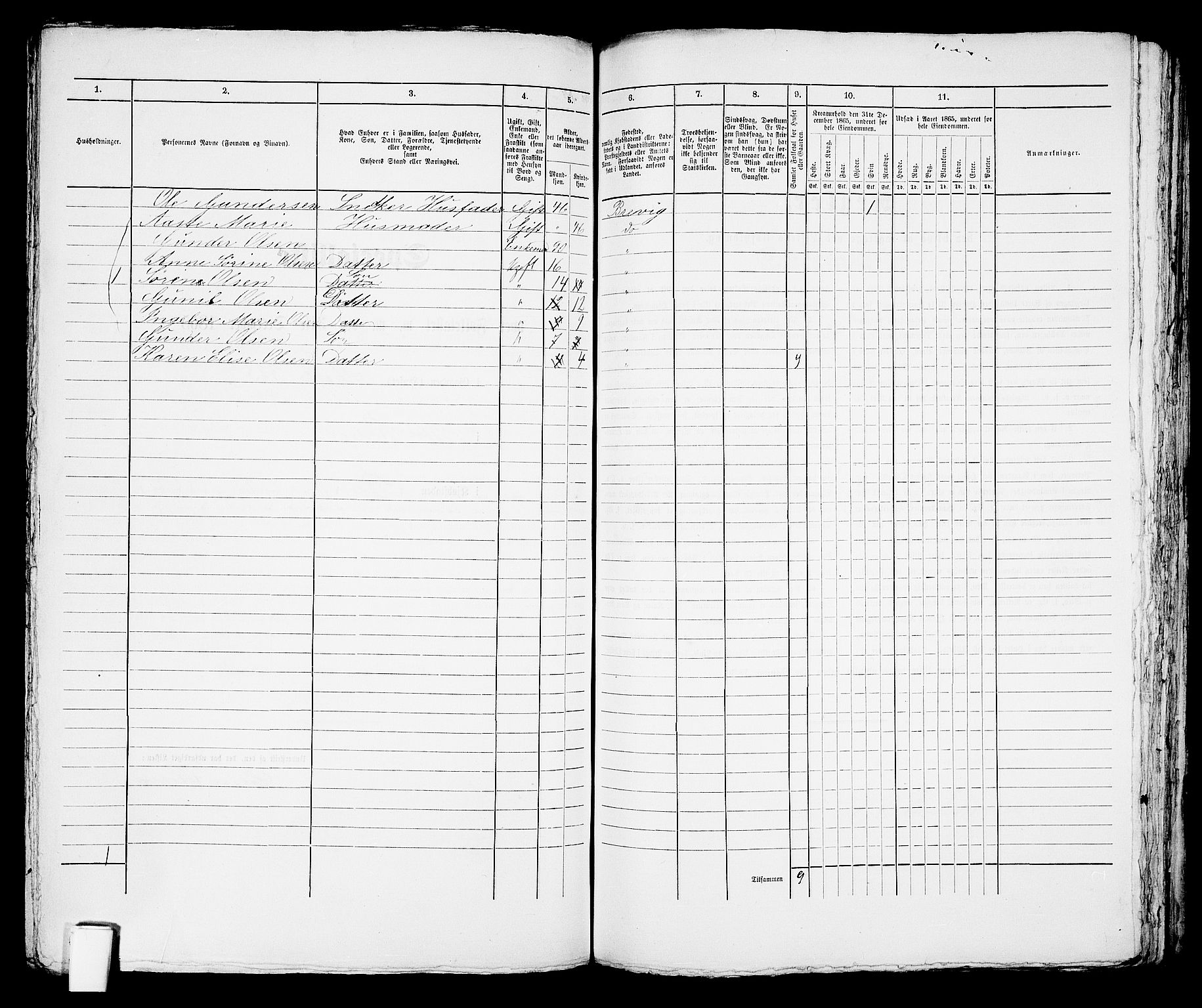 RA, 1865 census for Brevik, 1865, p. 255