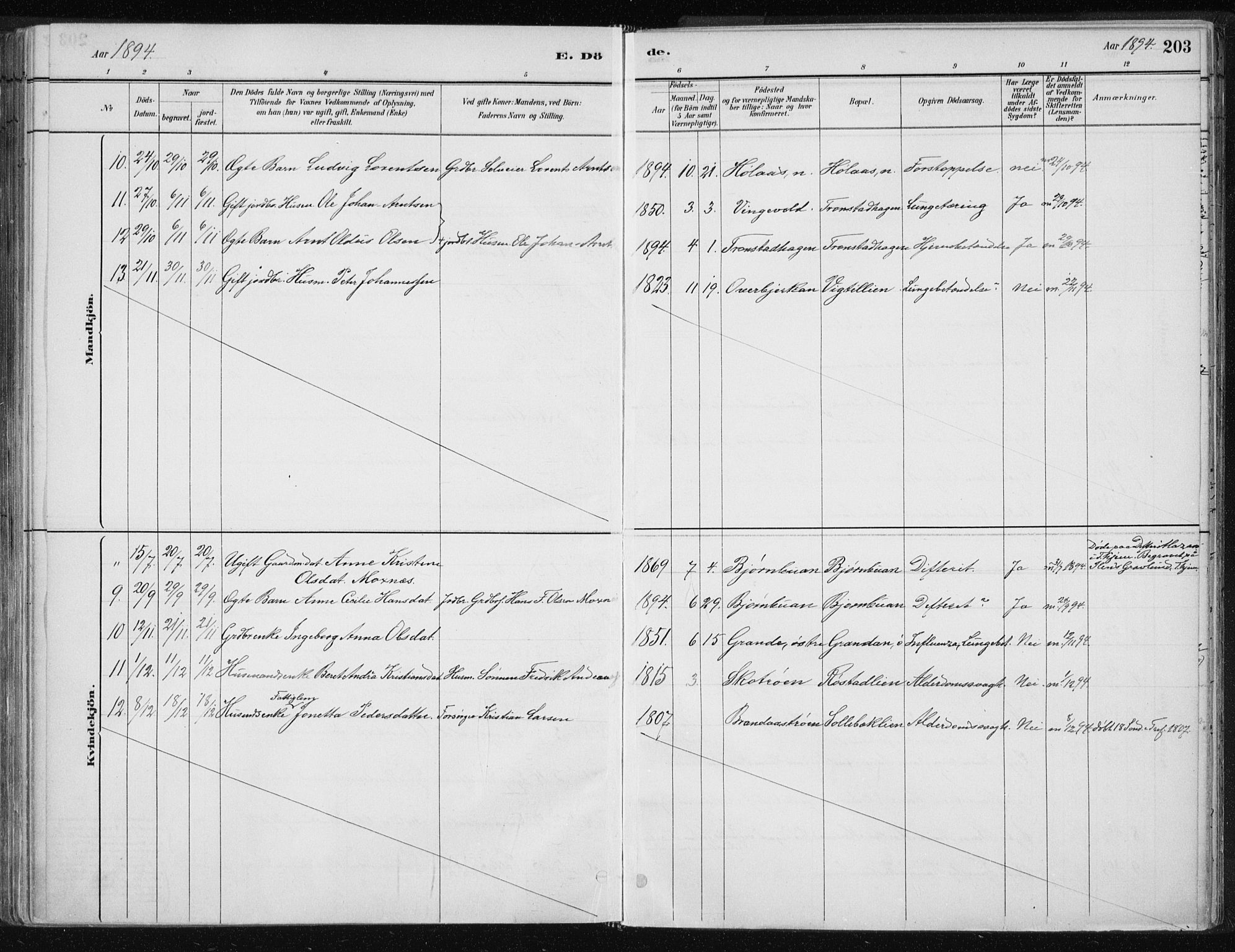 Ministerialprotokoller, klokkerbøker og fødselsregistre - Nord-Trøndelag, SAT/A-1458/701/L0010: Parish register (official) no. 701A10, 1883-1899, p. 203