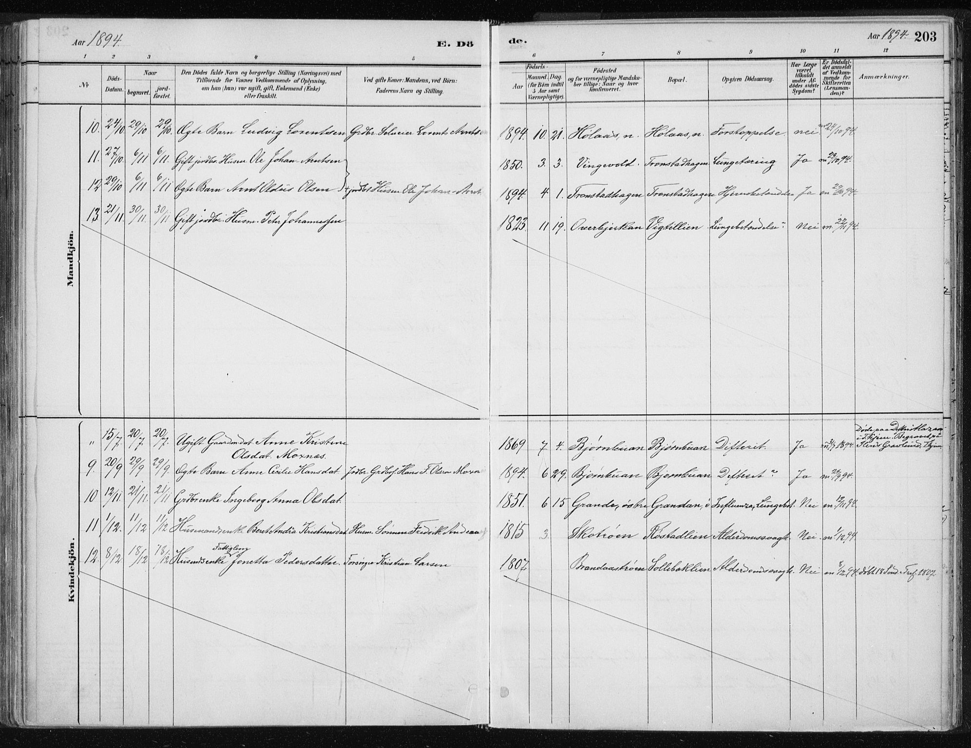 Ministerialprotokoller, klokkerbøker og fødselsregistre - Nord-Trøndelag, AV/SAT-A-1458/701/L0010: Parish register (official) no. 701A10, 1883-1899, p. 203