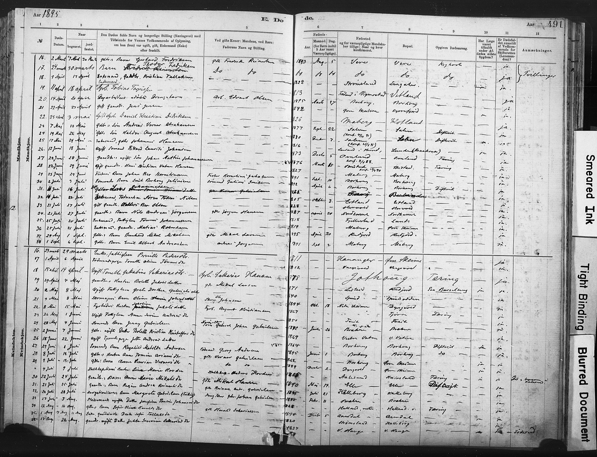 Lista sokneprestkontor, AV/SAK-1111-0027/F/Fa/L0012: Parish register (official) no. A 12, 1879-1903, p. 491