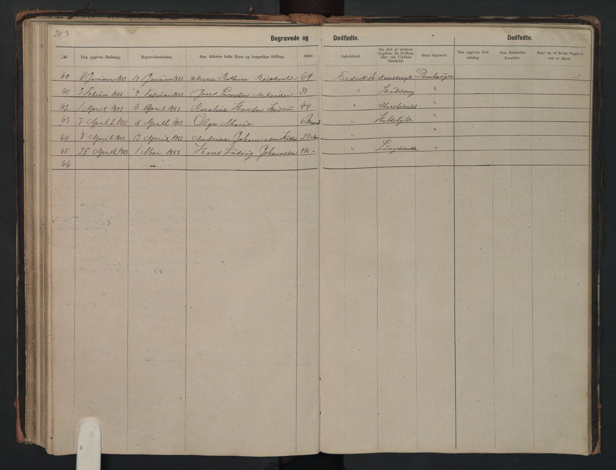 Halden metodistkirke - menighetsprotokoller, SAO/PAO-0266/F/L0002: Dissenter register no. 2, 1856-1892, p. 203