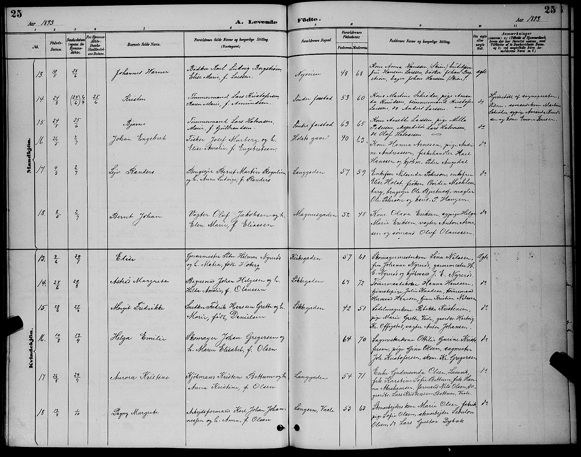 Holmestrand kirkebøker, SAKO/A-346/G/Ga/L0005: Parish register (copy) no. 5, 1889-1901, p. 25