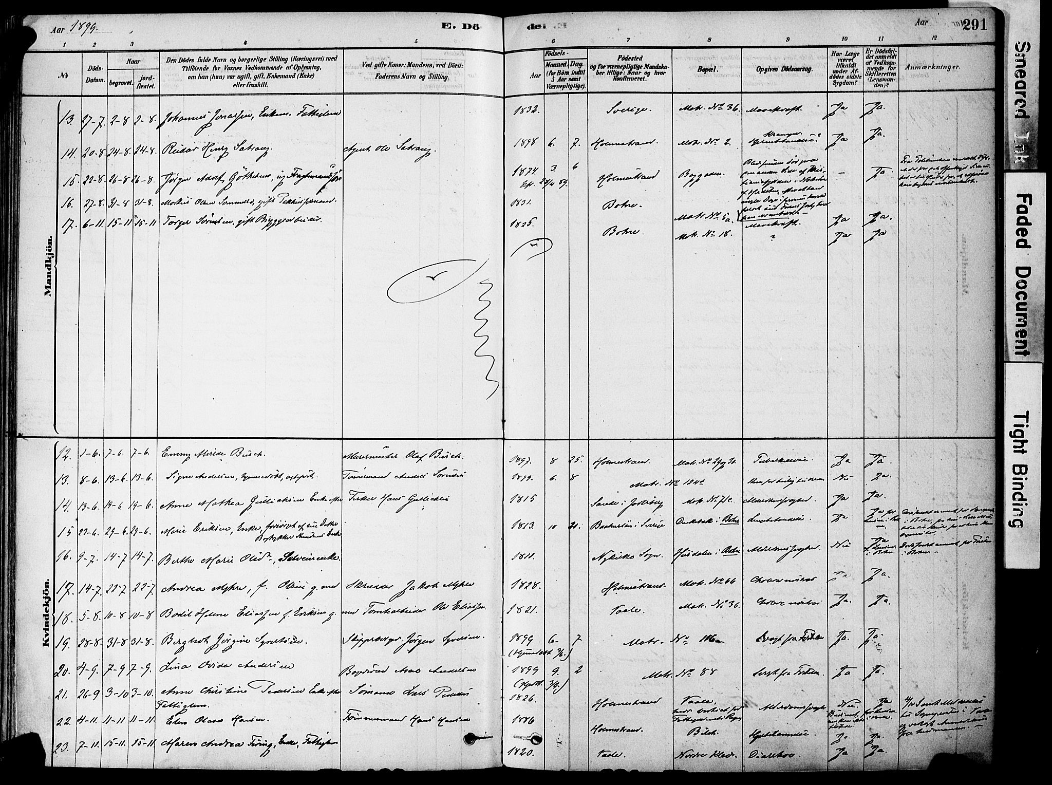 Holmestrand kirkebøker, AV/SAKO-A-346/F/Fa/L0004: Parish register (official) no. 4, 1880-1901, p. 291