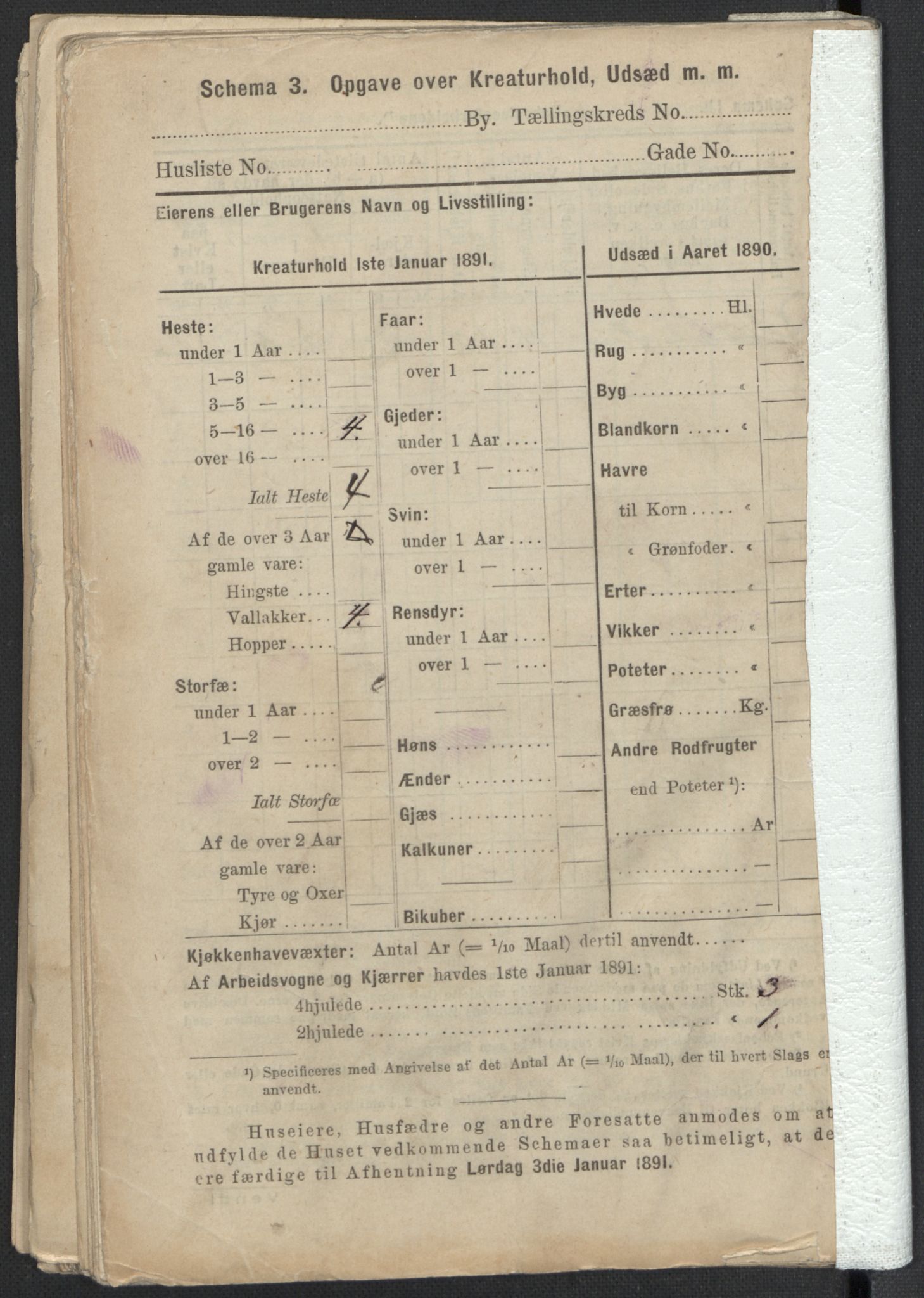 RA, 1891 Census for 1301 Bergen, 1891, p. 8567