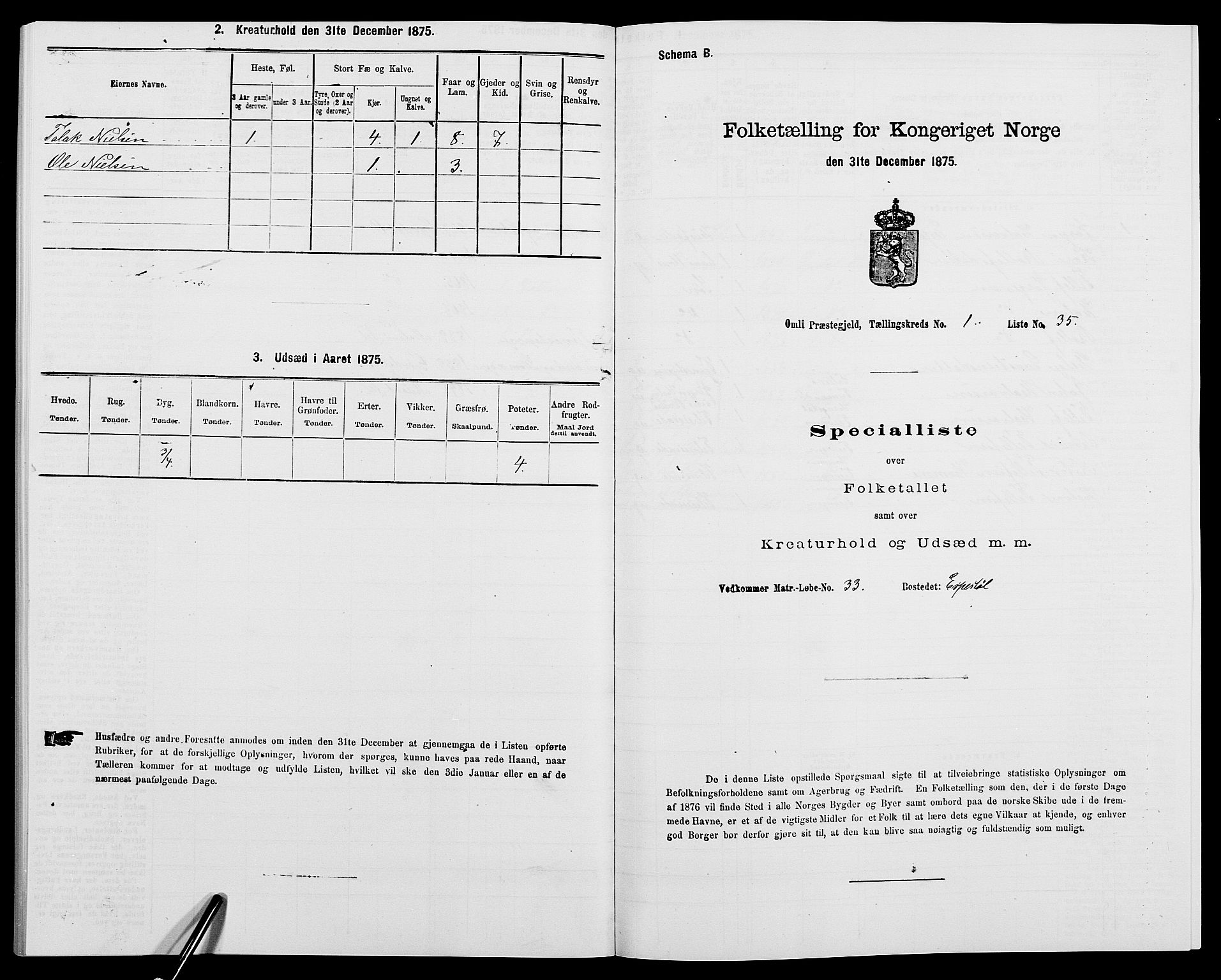 SAK, 1875 census for 0929P Åmli, 1875, p. 110