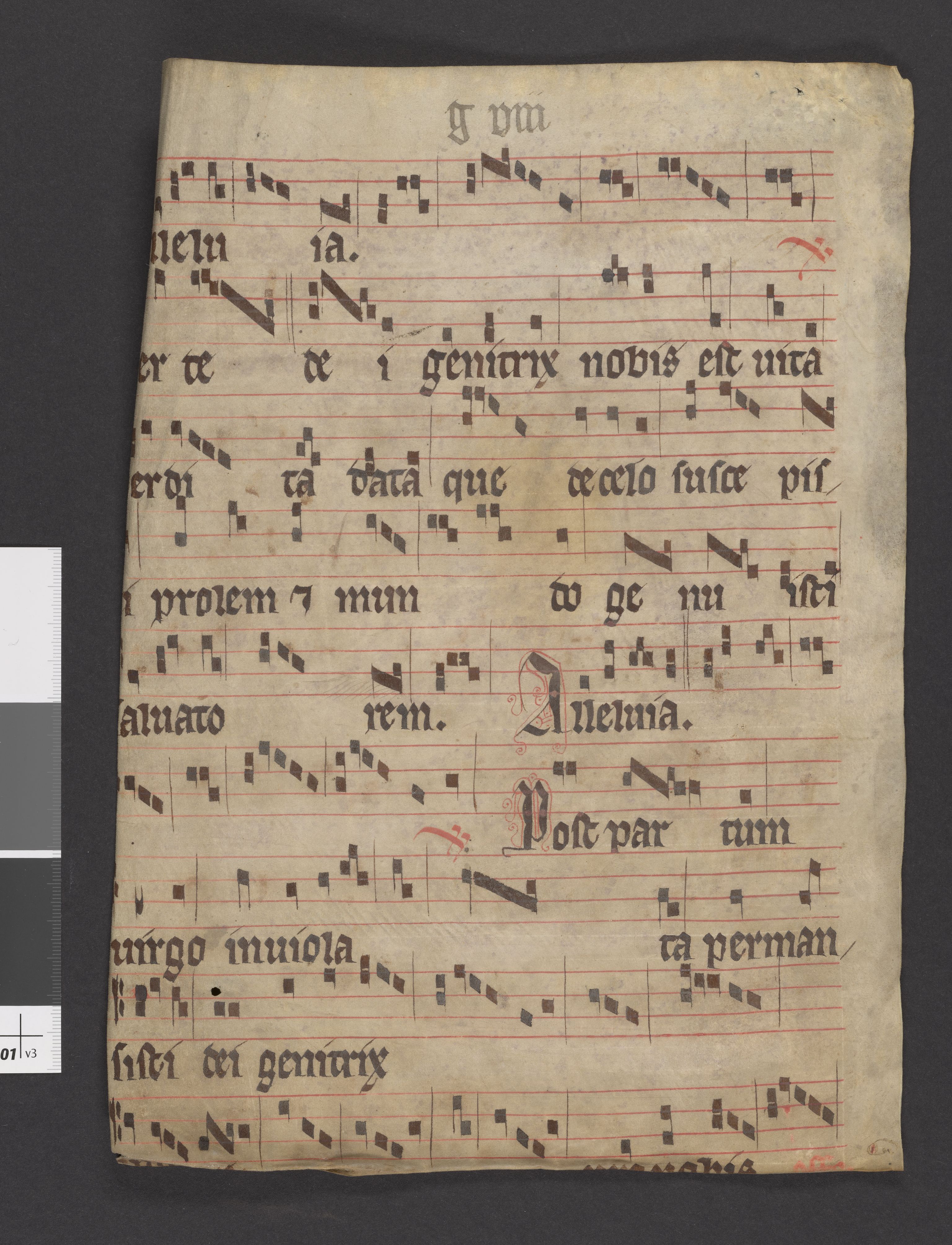 Riksarkivets diplomsamling, AV/RA-EA-5965/F27/F27A/F27Ab/L0002: Latinske fragmenter stort format, 1100-1536, p. 39