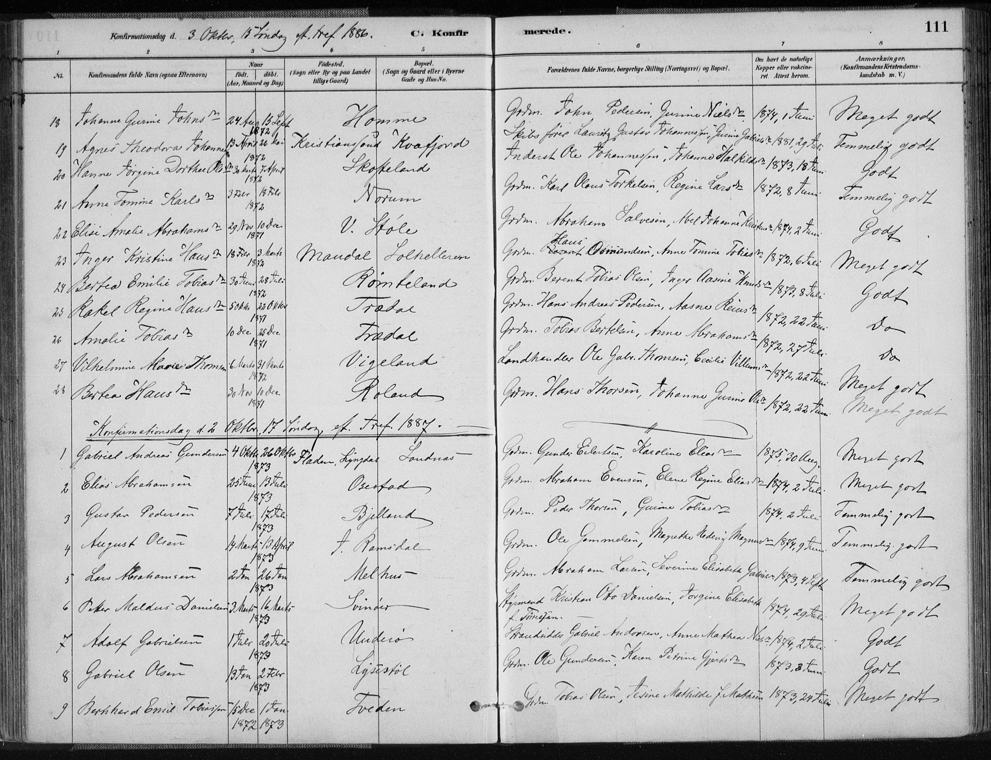 Sør-Audnedal sokneprestkontor, AV/SAK-1111-0039/F/Fa/Fab/L0009: Parish register (official) no. A 9, 1880-1895, p. 111