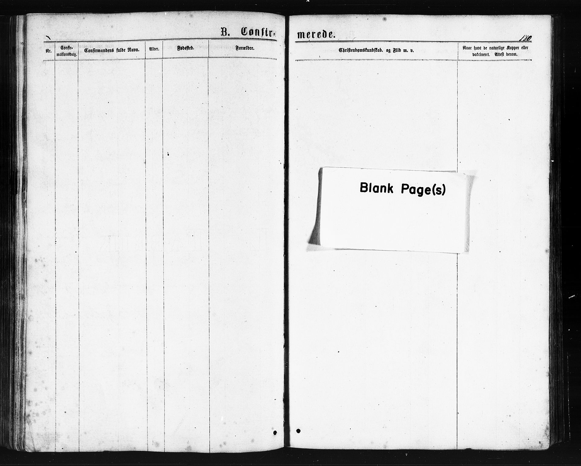 Ministerialprotokoller, klokkerbøker og fødselsregistre - Nordland, AV/SAT-A-1459/893/L1334: Parish register (official) no. 893A07, 1867-1877, p. 180