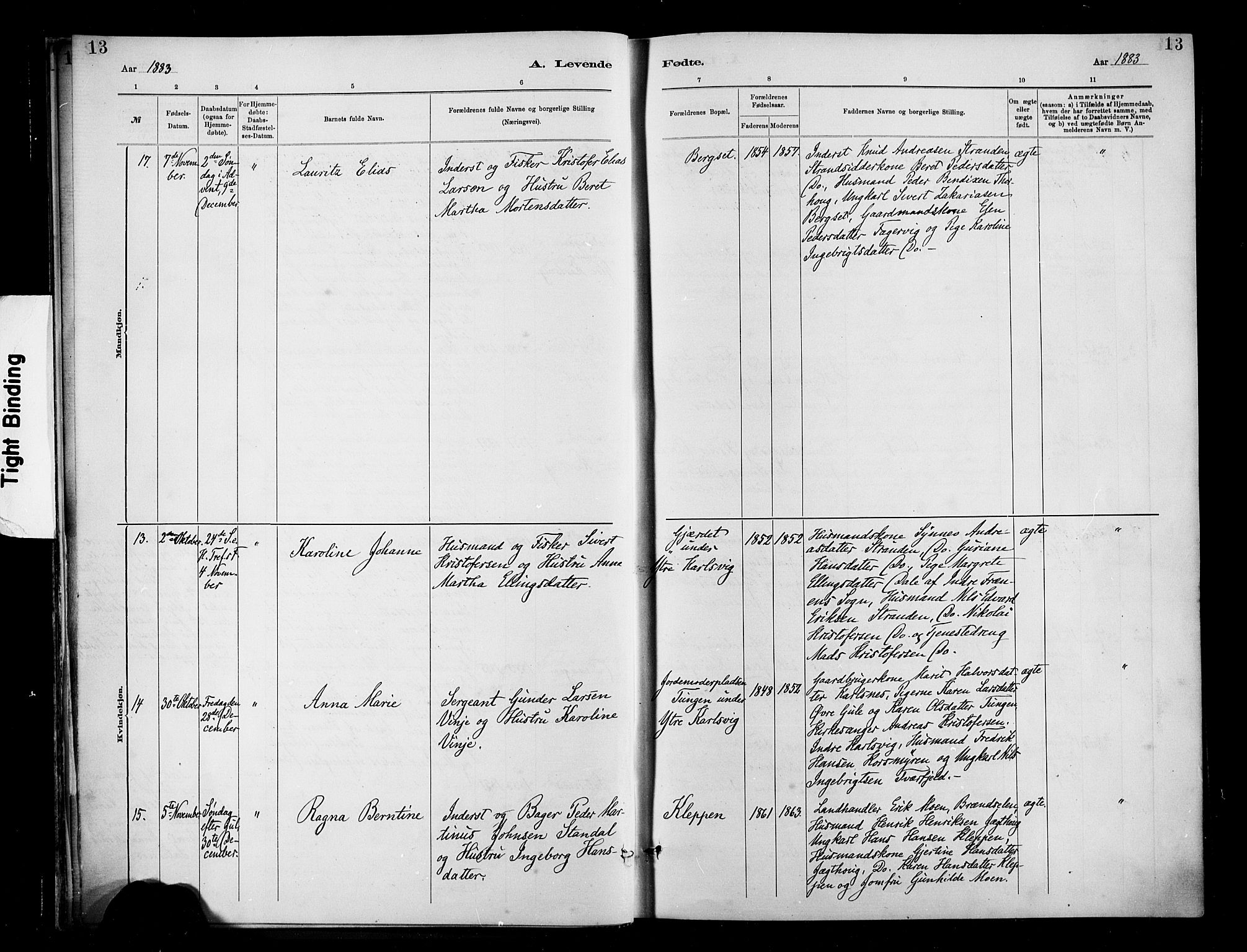 Ministerialprotokoller, klokkerbøker og fødselsregistre - Møre og Romsdal, AV/SAT-A-1454/566/L0769: Parish register (official) no. 566A08, 1881-1903, p. 13