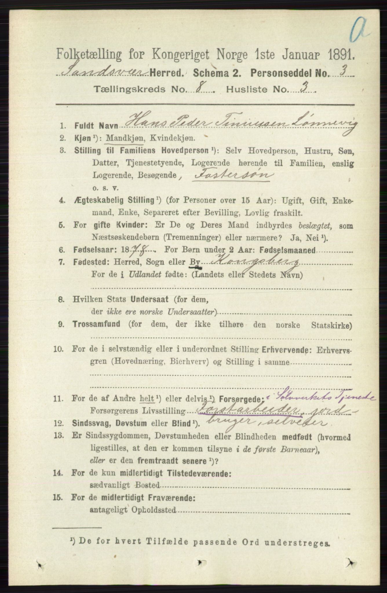 RA, 1891 census for 0629 Sandsvær, 1891, p. 4301