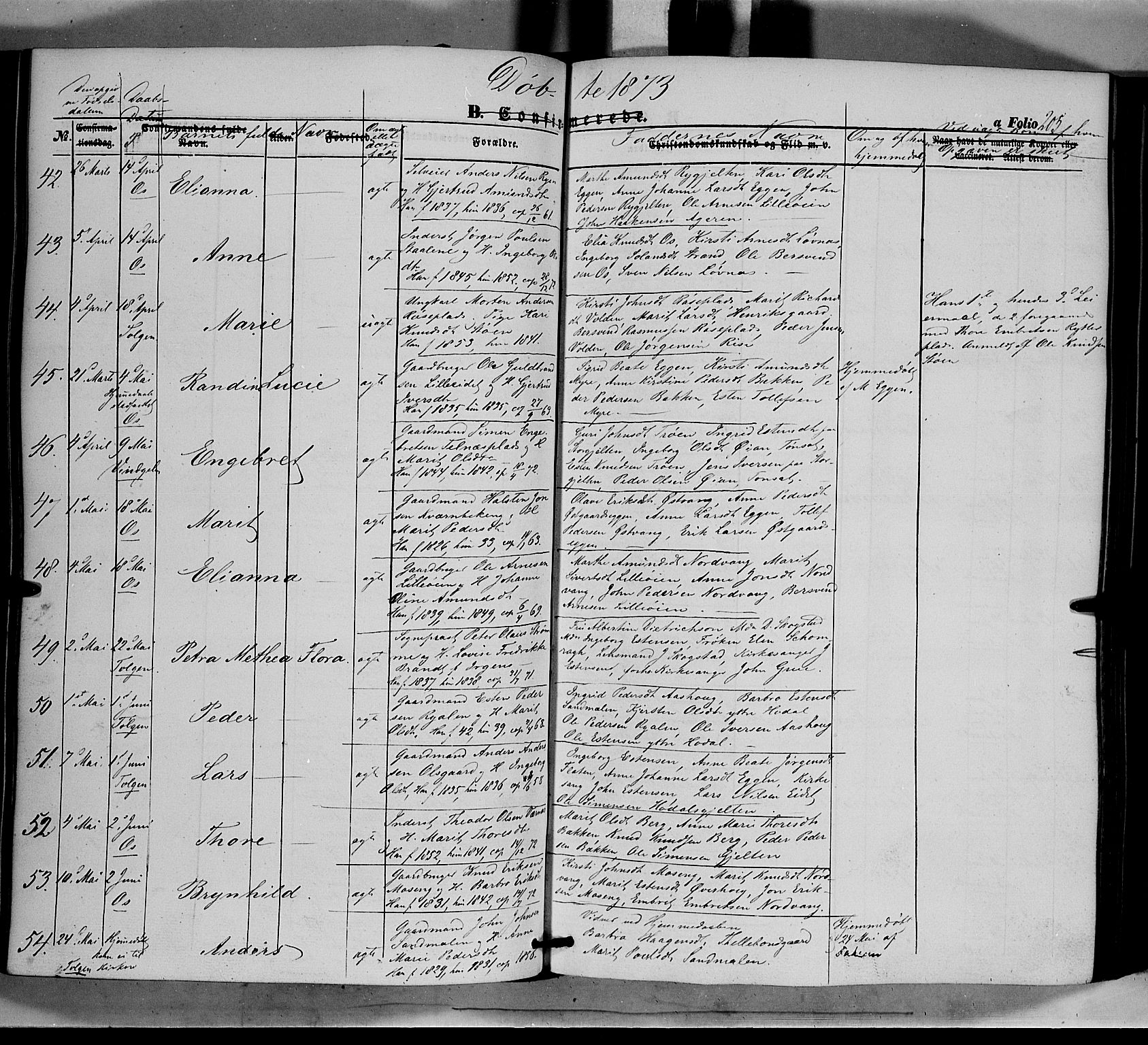 Tolga prestekontor, AV/SAH-PREST-062/K/L0006: Parish register (official) no. 6, 1852-1876, p. 205