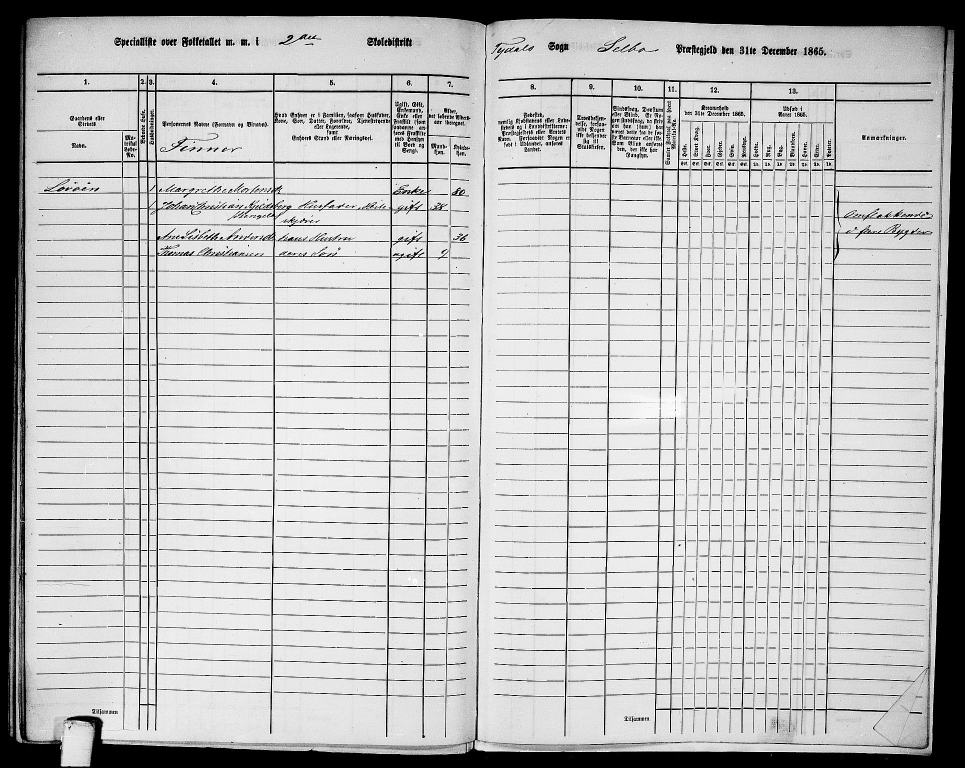 RA, 1865 census for Selbu, 1865, p. 253