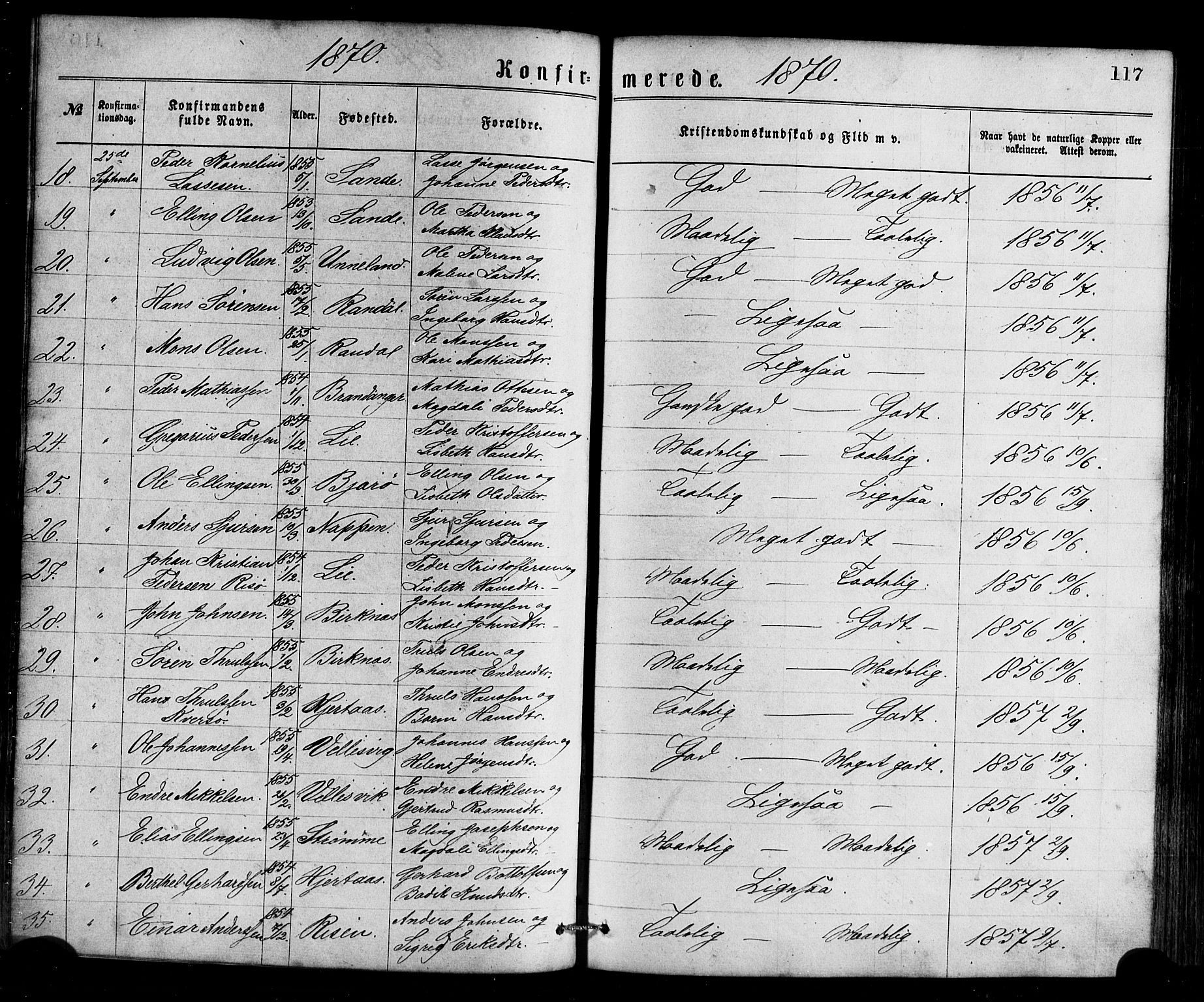 Gulen sokneprestembete, AV/SAB-A-80201/H/Haa/Haaa/L0023: Parish register (official) no. A 23, 1870-1880, p. 117