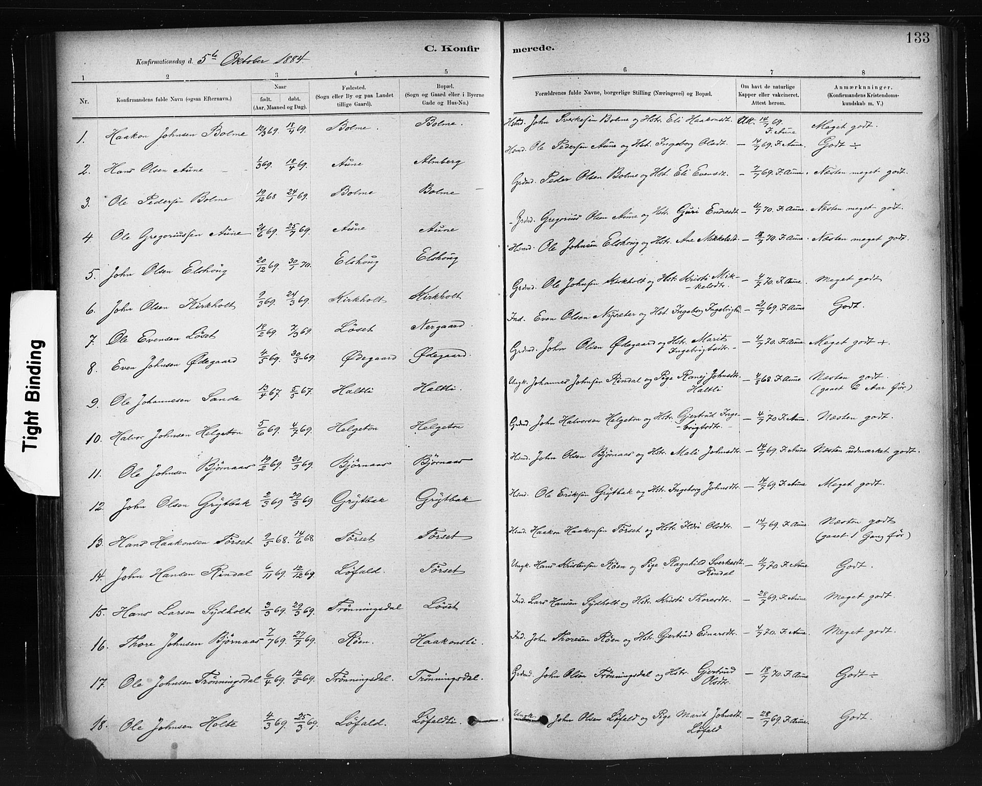 Ministerialprotokoller, klokkerbøker og fødselsregistre - Møre og Romsdal, AV/SAT-A-1454/598/L1069: Parish register (official) no. 598A03, 1882-1895, p. 133