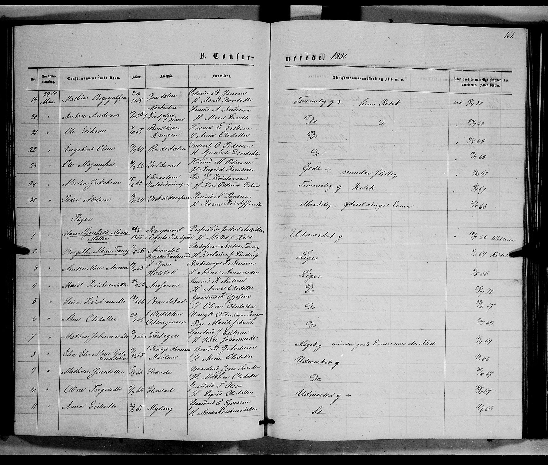 Ringebu prestekontor, SAH/PREST-082/H/Ha/Hab/L0006: Parish register (copy) no. 6, 1880-1898, p. 161