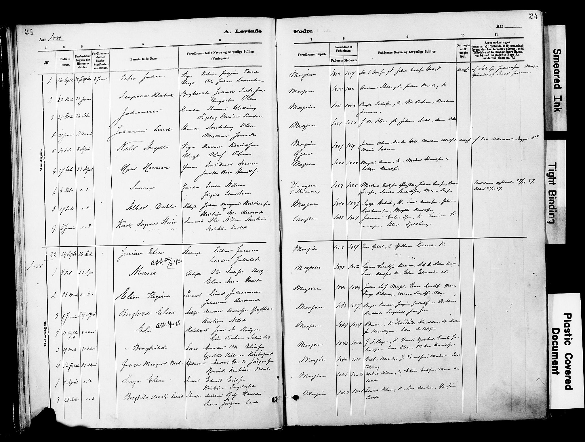 Ministerialprotokoller, klokkerbøker og fødselsregistre - Nordland, SAT/A-1459/820/L0296: Parish register (official) no. 820A17, 1880-1903, p. 24