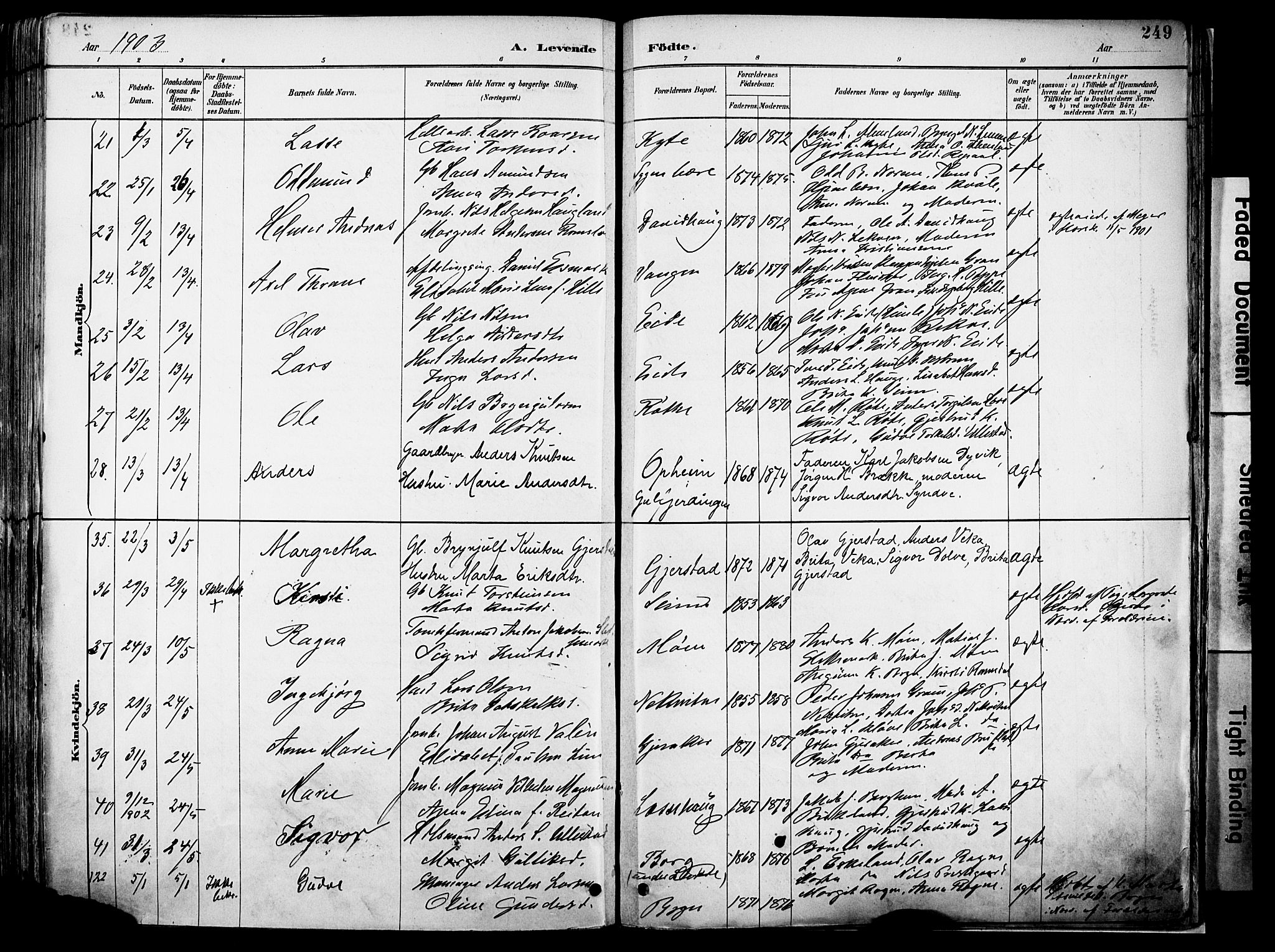 Voss sokneprestembete, AV/SAB-A-79001/H/Haa: Parish register (official) no. A 21, 1887-1903, p. 249