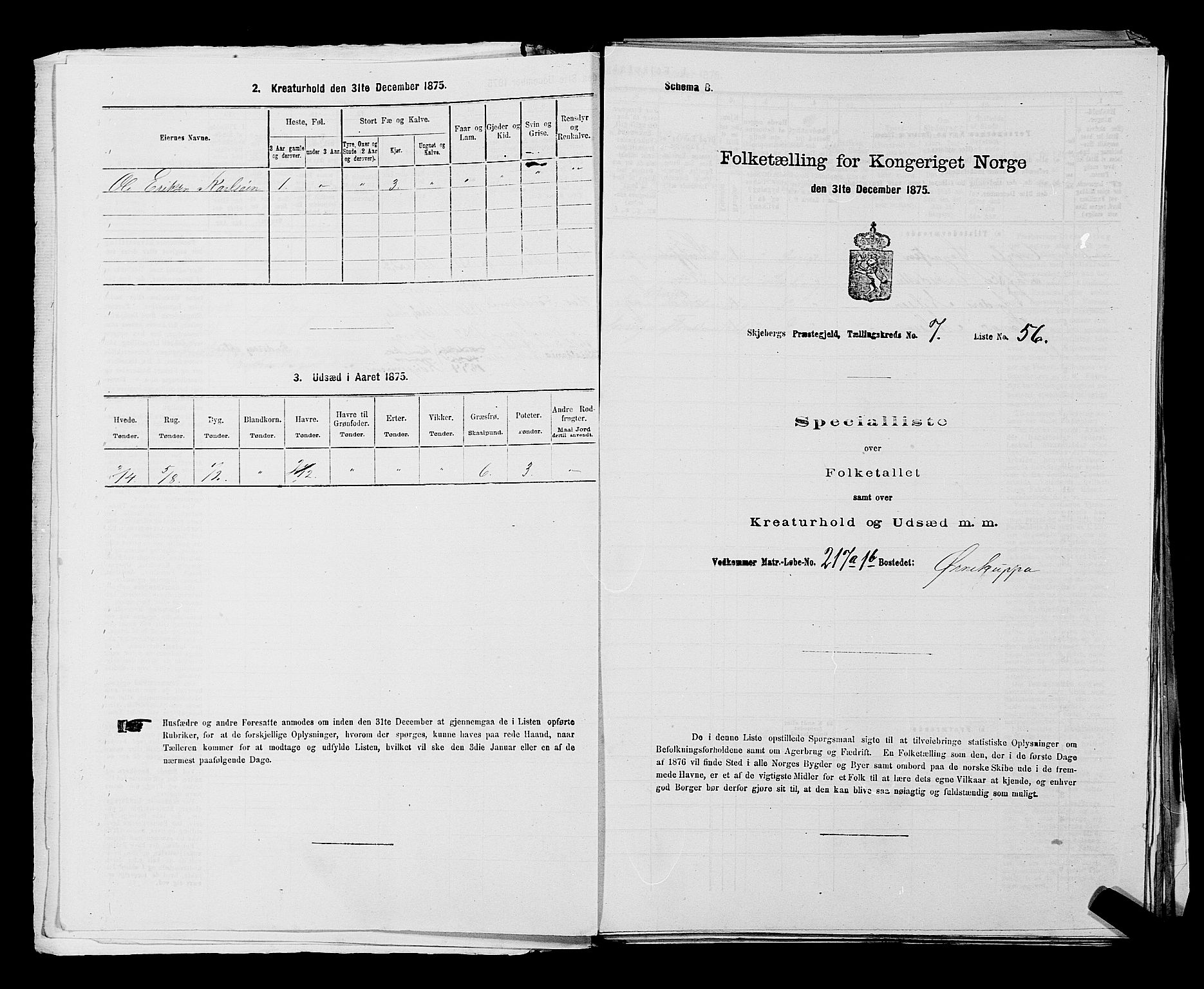 RA, 1875 census for 0115P Skjeberg, 1875, p. 1174