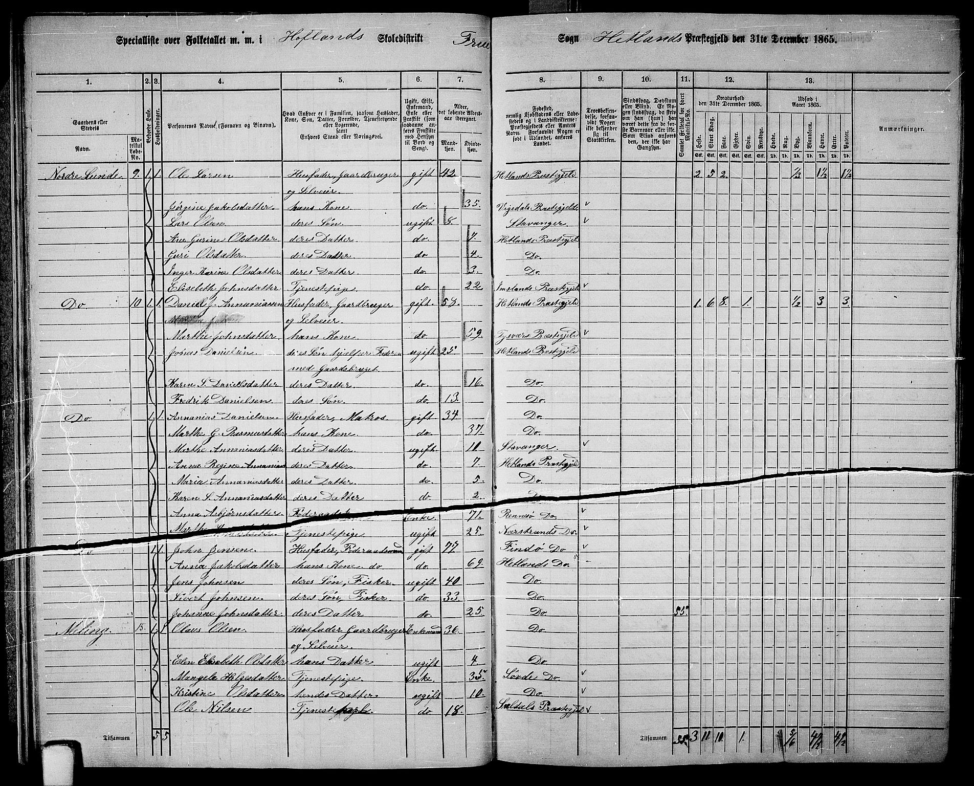 RA, 1865 census for Hetland, 1865, p. 21