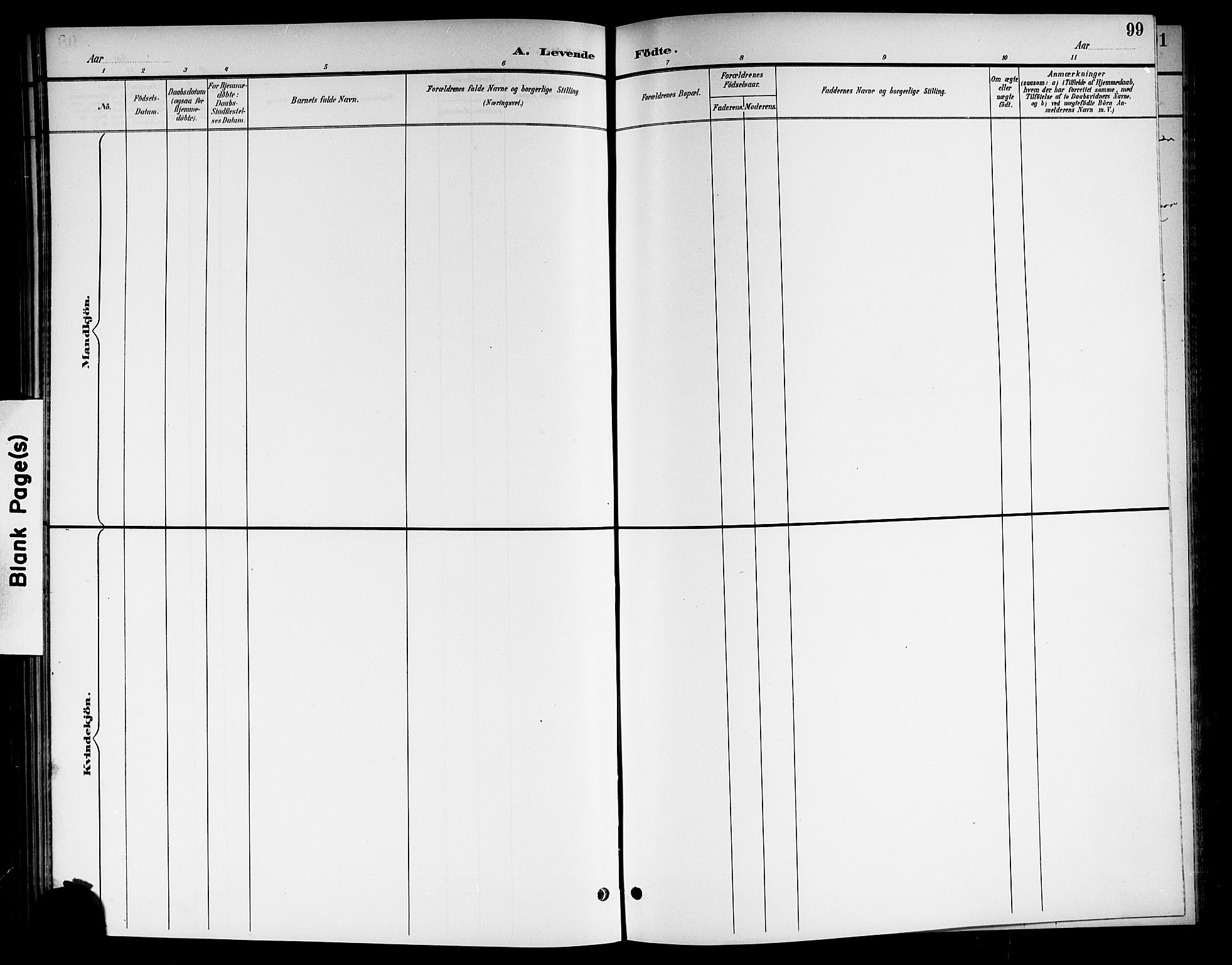 Nore kirkebøker, AV/SAKO-A-238/G/Gb/L0003: Parish register (copy) no. II 3, 1894-1923, p. 99