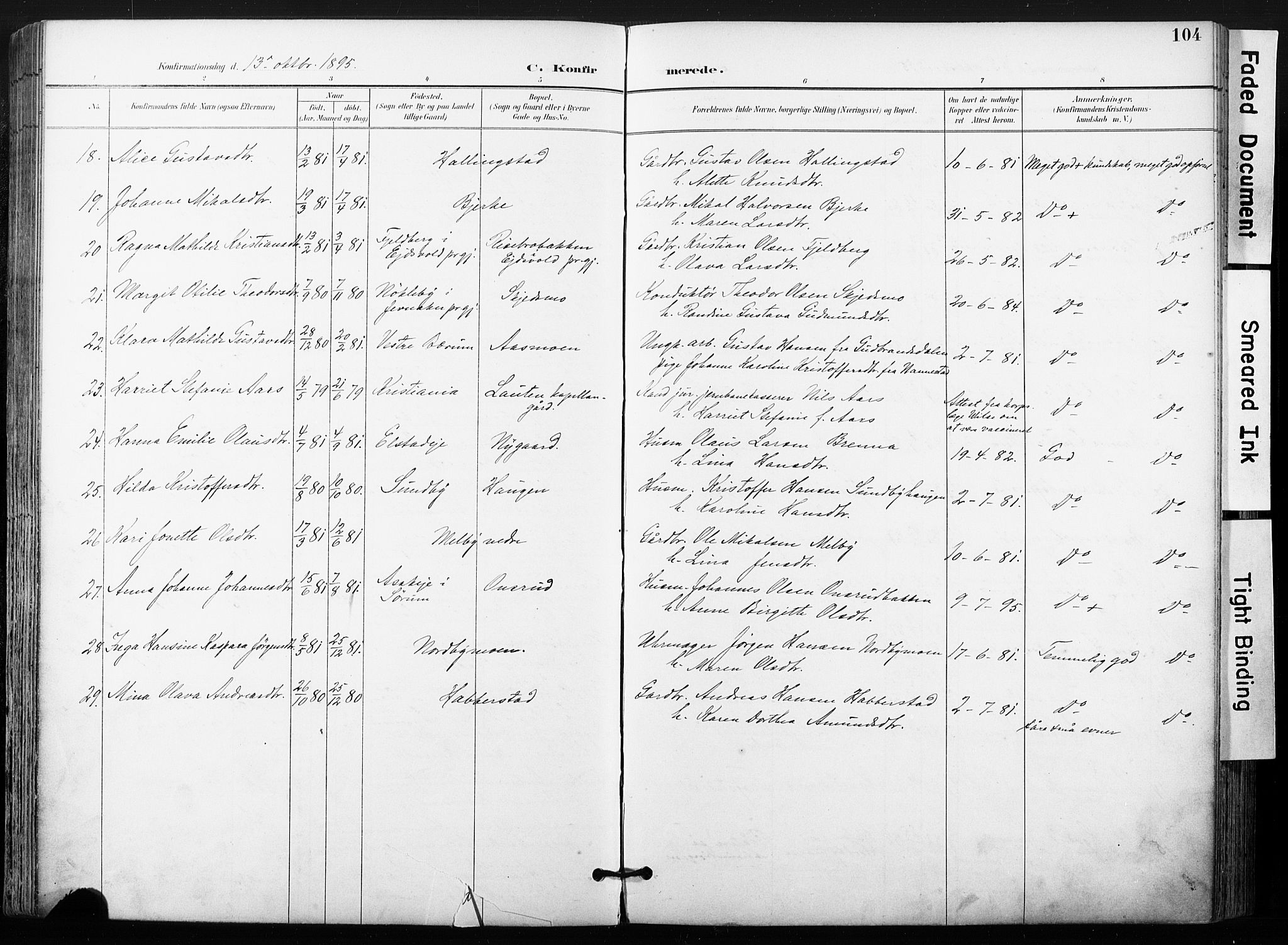 Ullensaker prestekontor Kirkebøker, AV/SAO-A-10236a/F/Fb/L0002: Parish register (official) no. II 2, 1894-1909, p. 104