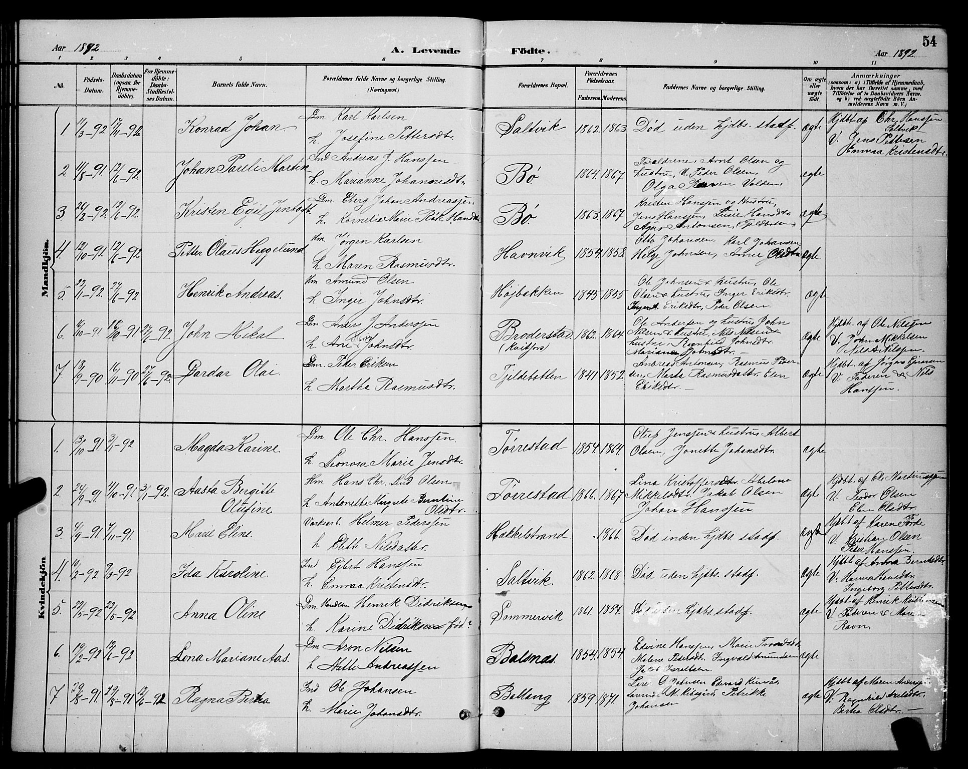 Ministerialprotokoller, klokkerbøker og fødselsregistre - Nordland, AV/SAT-A-1459/863/L0914: Parish register (copy) no. 863C04, 1886-1897, p. 54