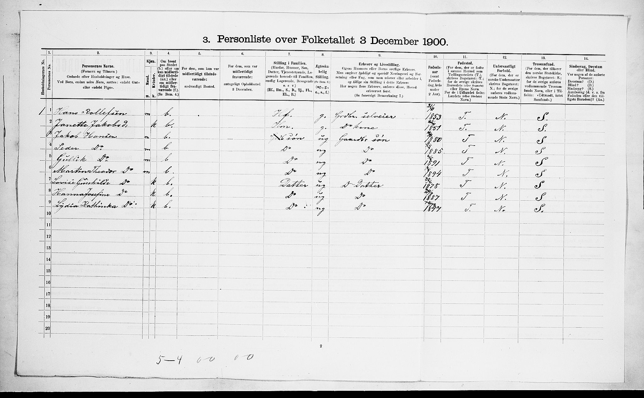 RA, 1900 census for Brunlanes, 1900, p. 870